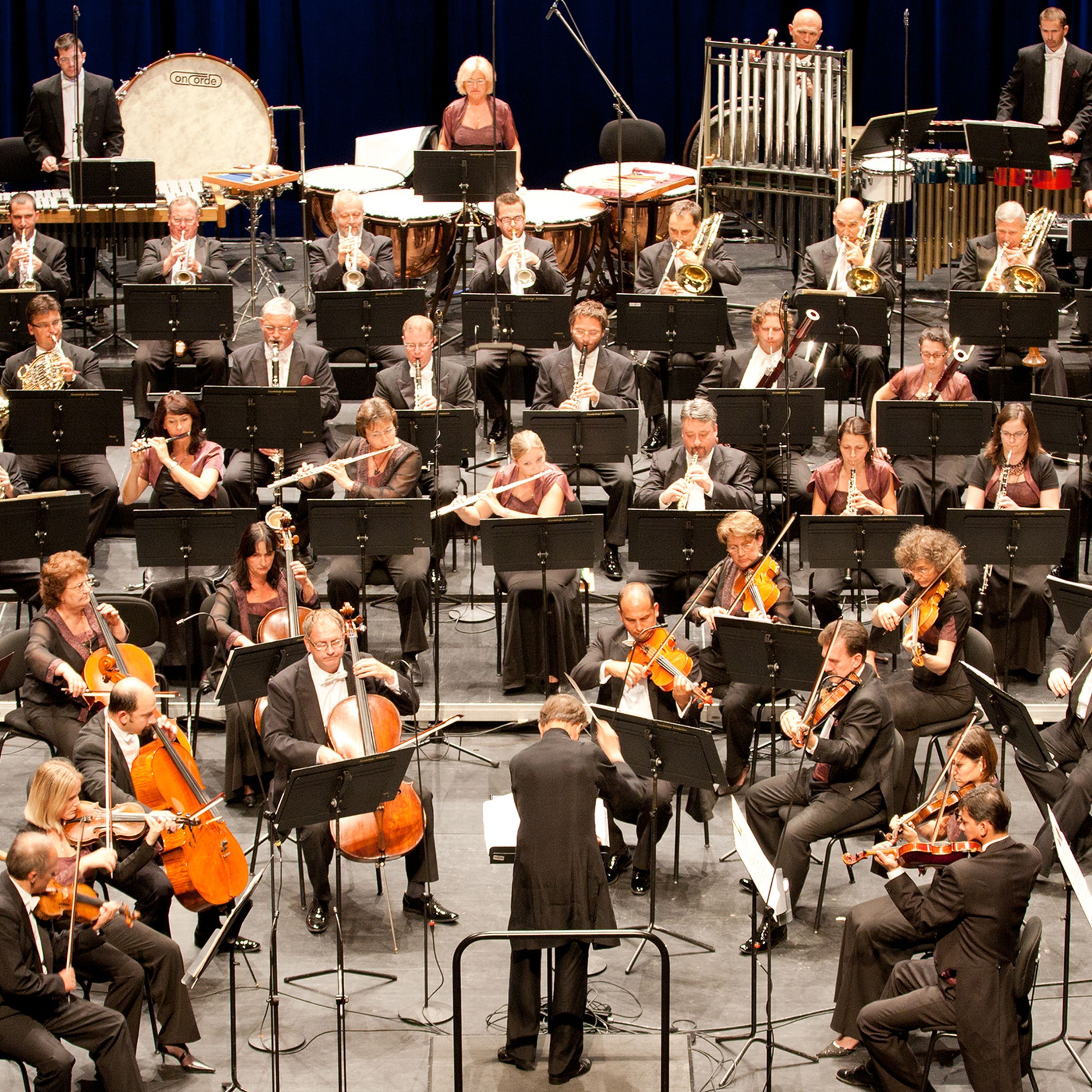 Can music damage your health?