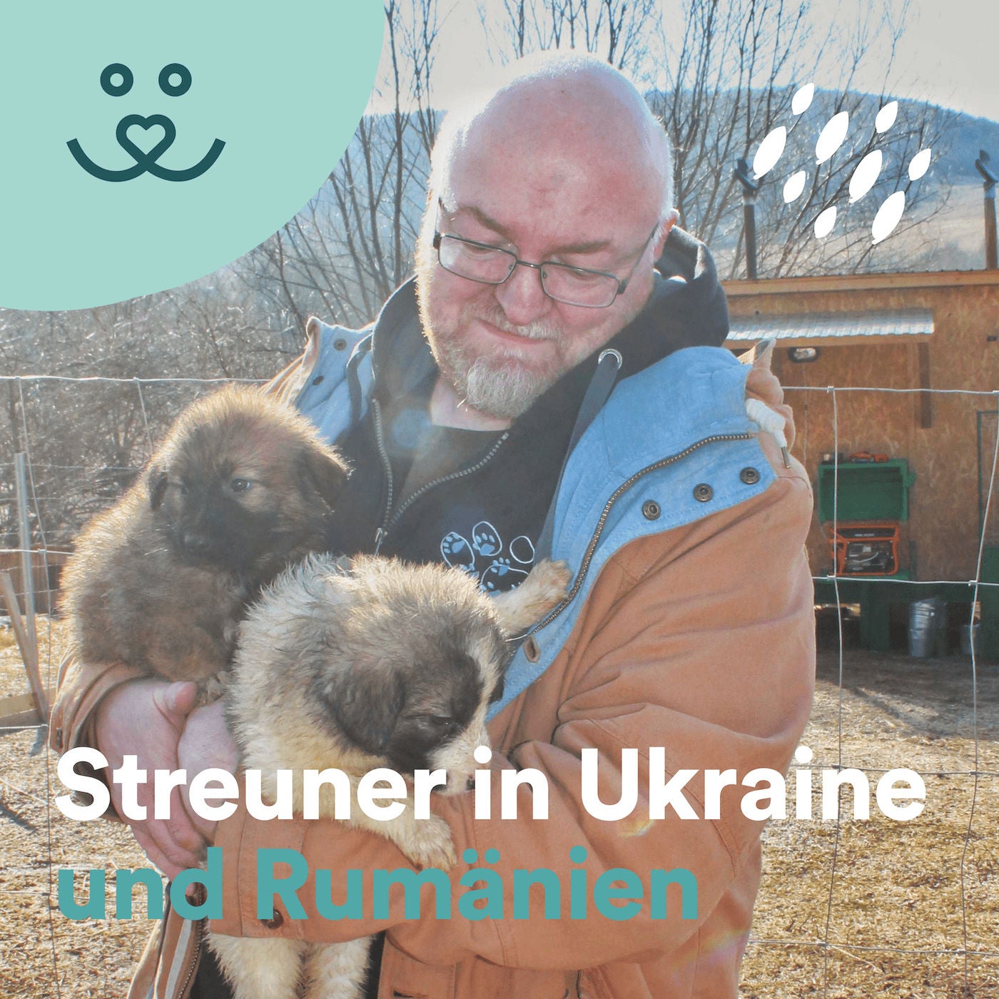 Update No. 80: „Streuner Seelen“: Tierschutz in Rumänien und Ukraine 🐕🇷🇴🇺🇦