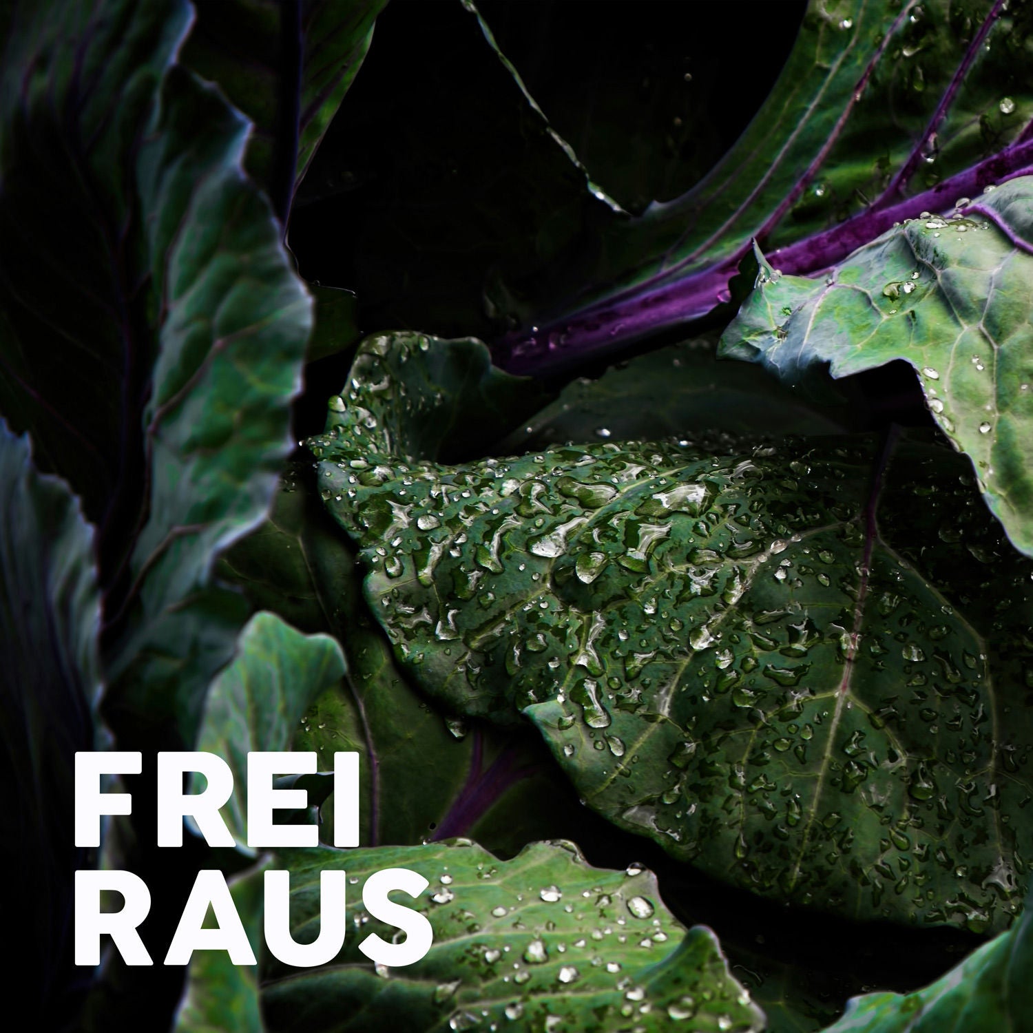 Raus und Lebensmittel retten – Christinas neue Alltagsabenteuer