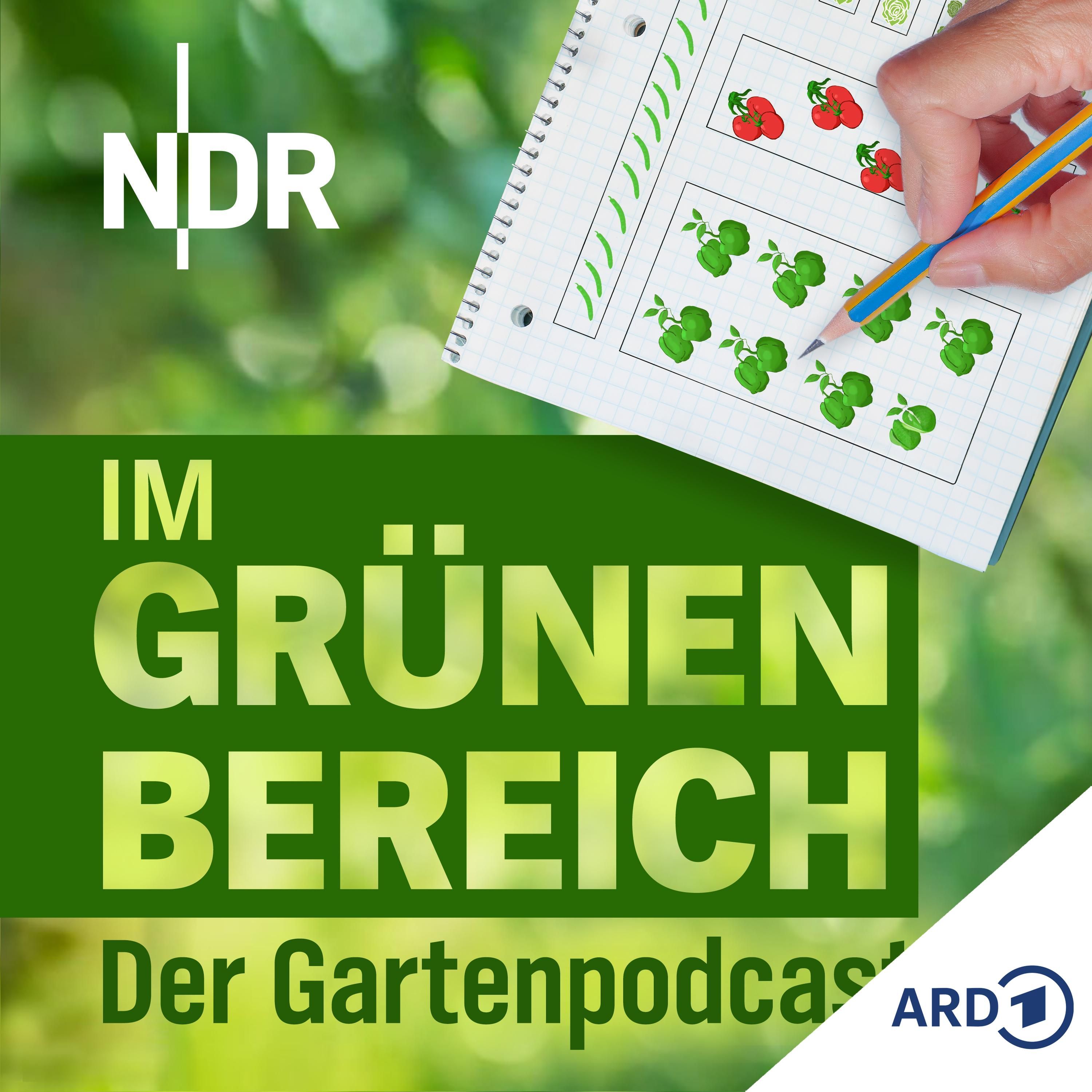 Gut geplant ist halb geerntet: Mit Pflanzplan zum Erfolg