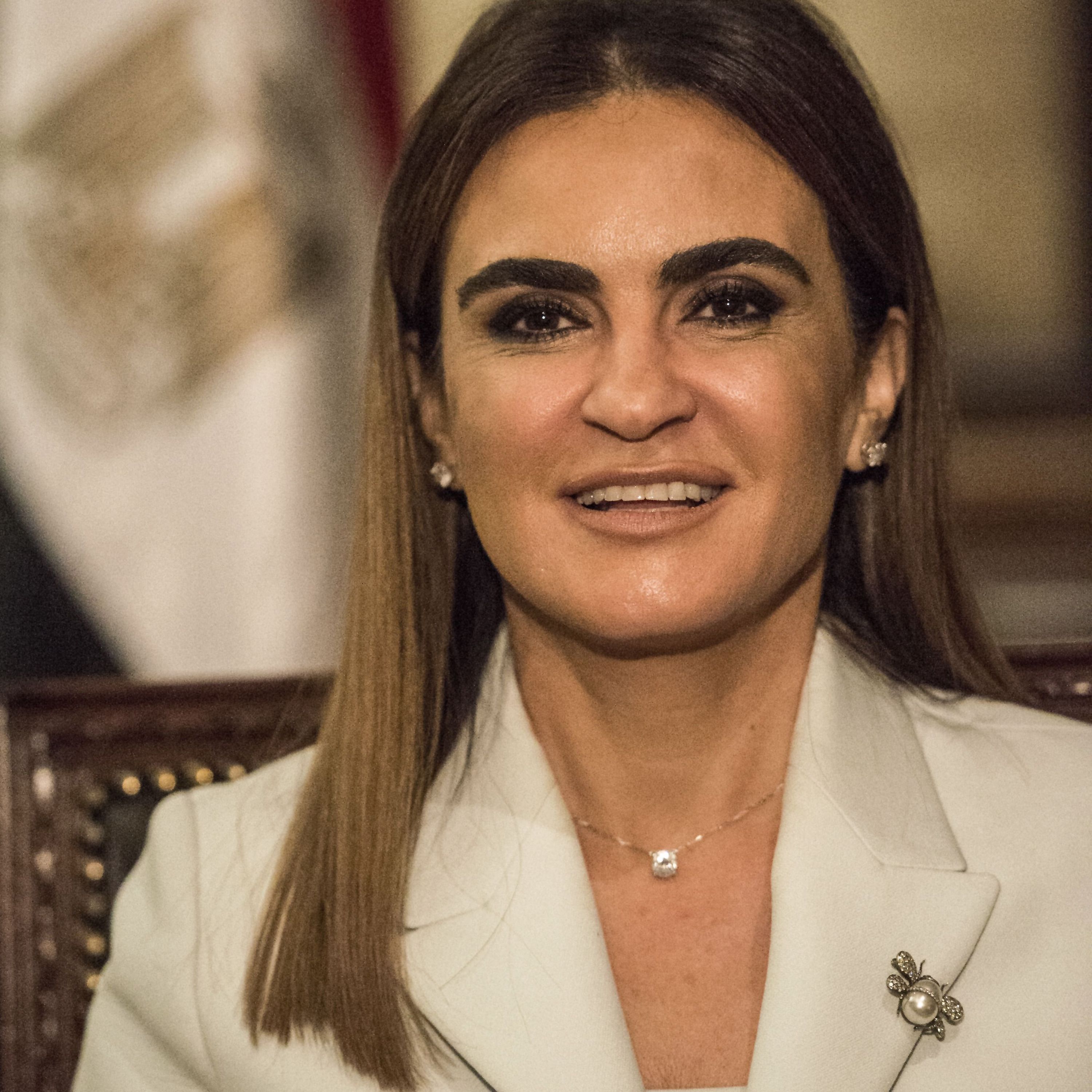 Egypt's painful economic reforms