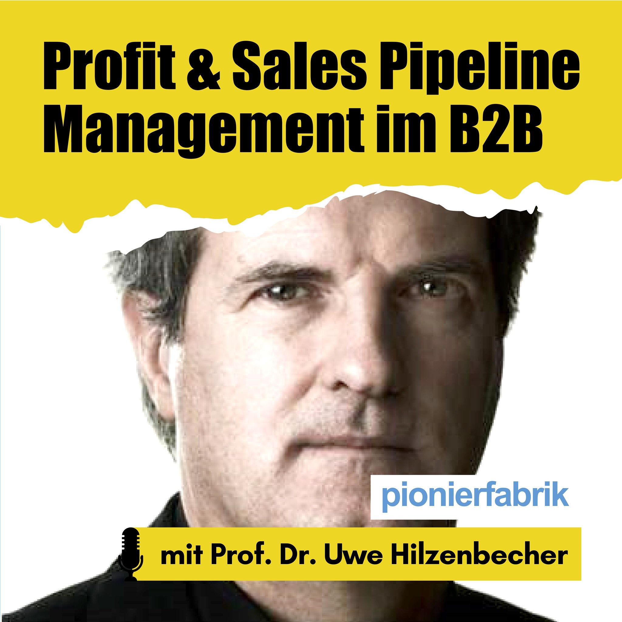 EP 09 | Dimensionen des Profit und Sales Pipeline Management im B2B | Teil 1