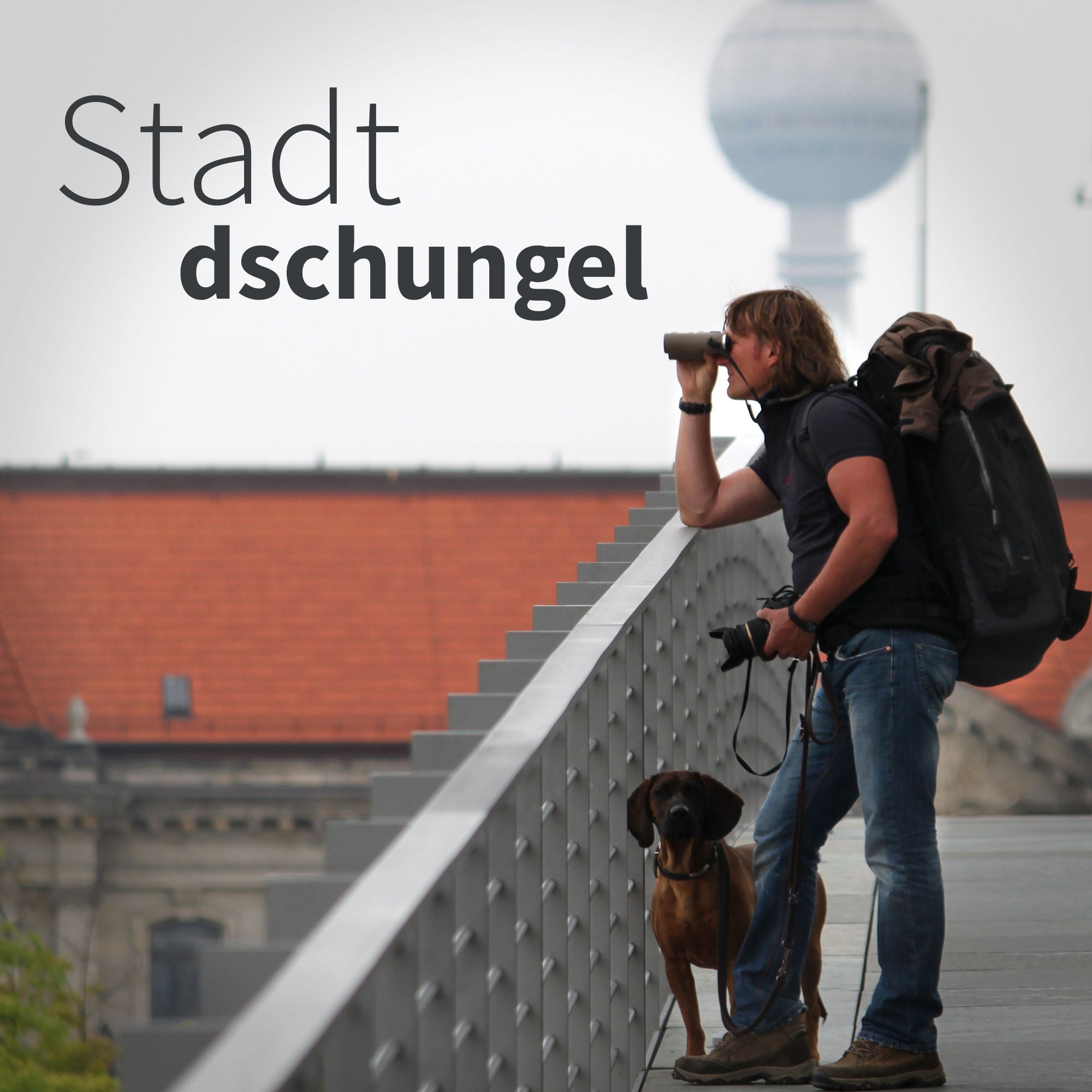 SD#027 - Kielings wilde Welt, hinter den Kulissen | Teil 1