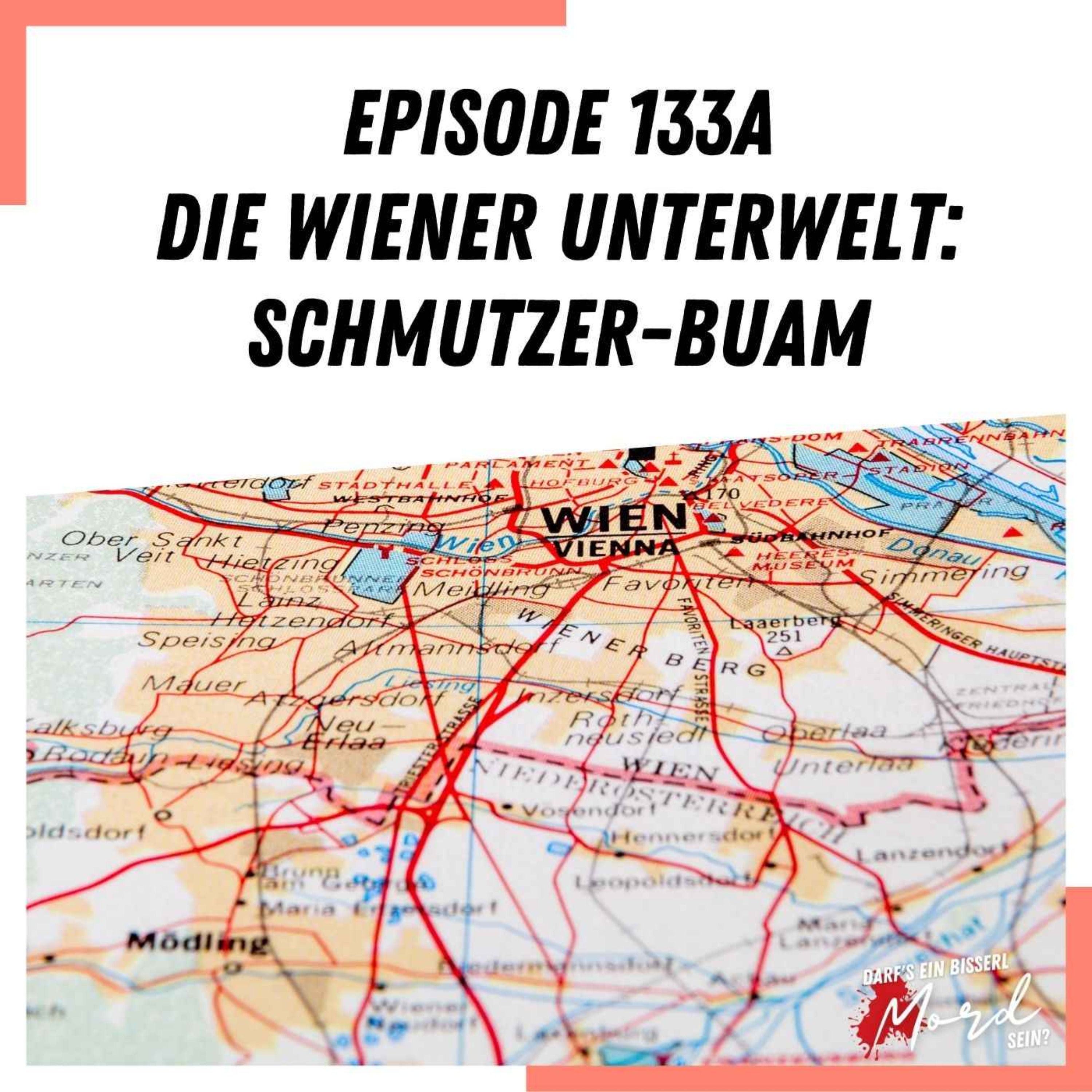 Episode 133a: Die Wiener Unterwelt (Die Schmutzer-Buam und das Stoßspiel)