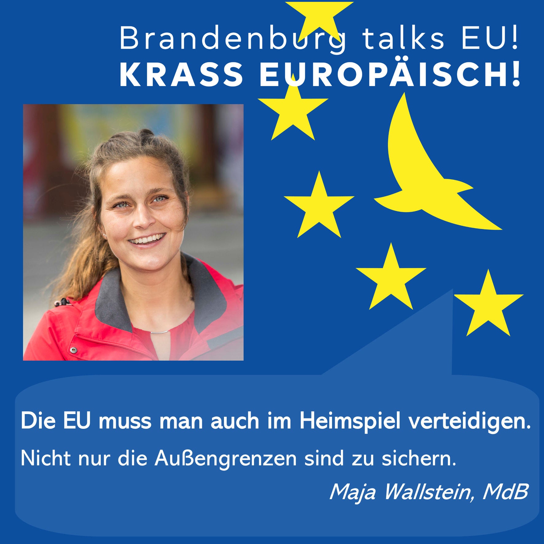 Die EU muss man auch im Heimspiel verteidigen