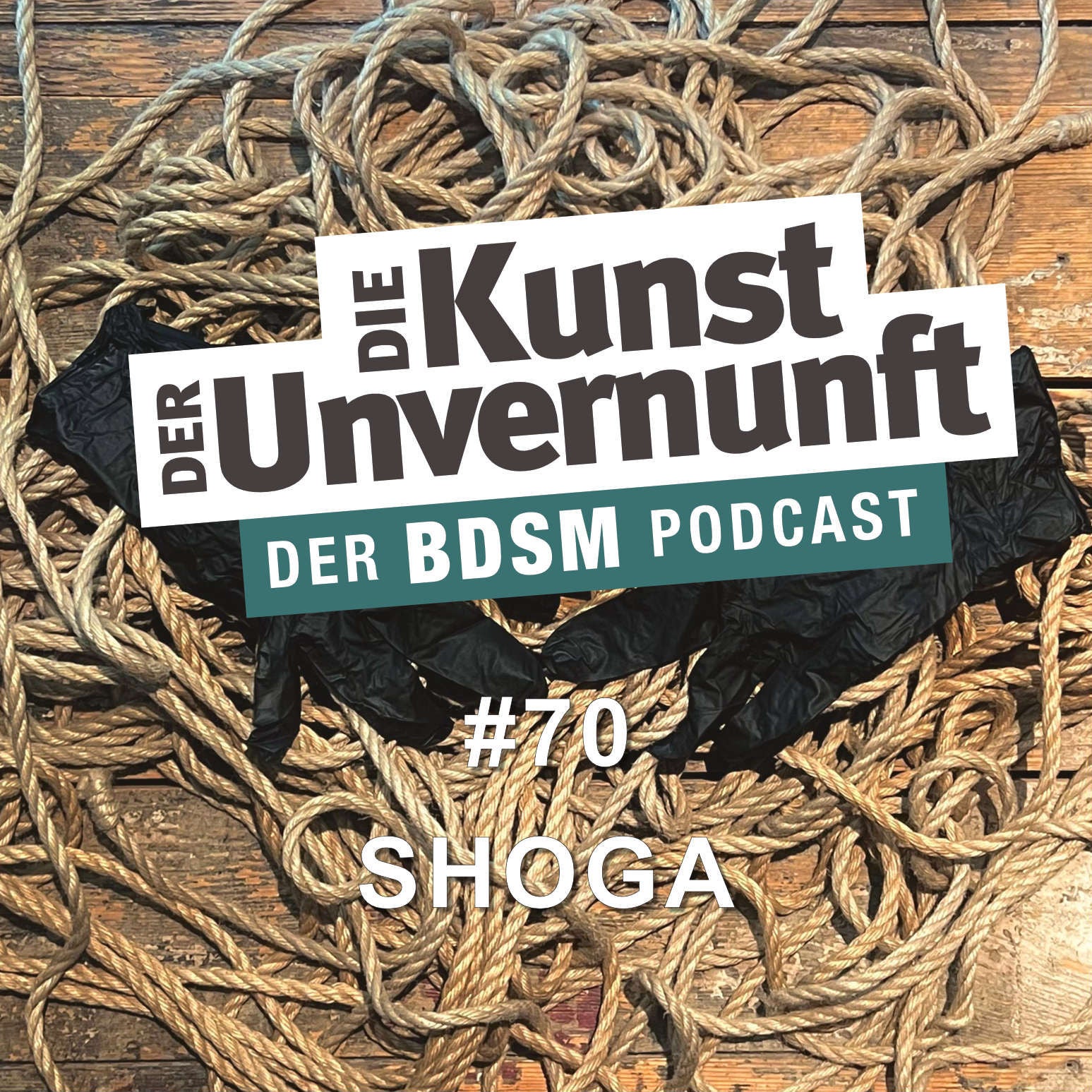 Shoga - Seilschaften