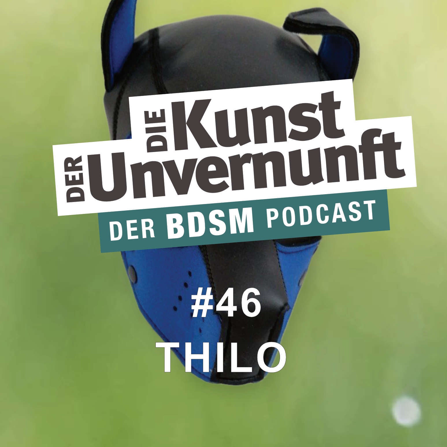 Thilo - Puppy-Expedition