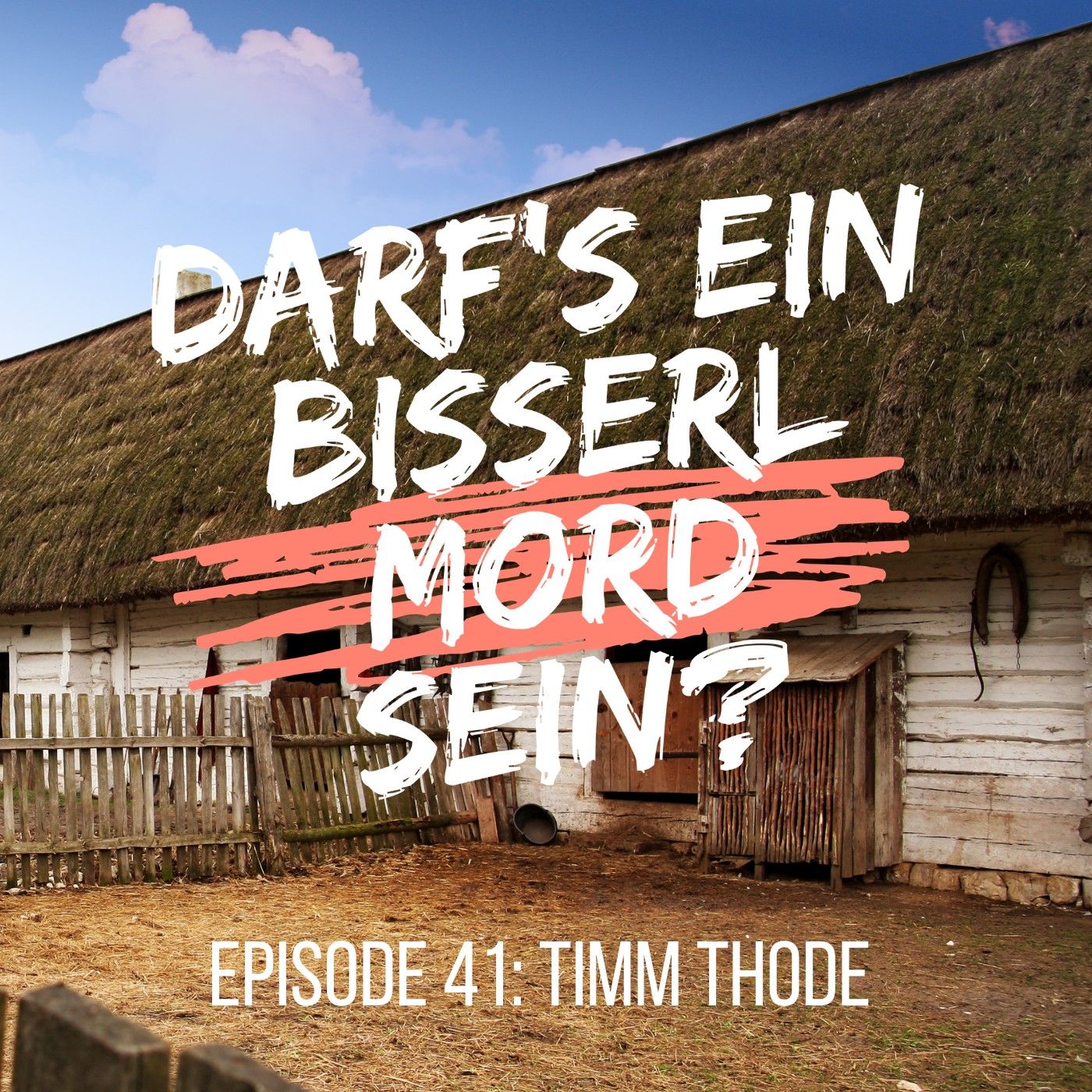 Episode 41: Timm Thode