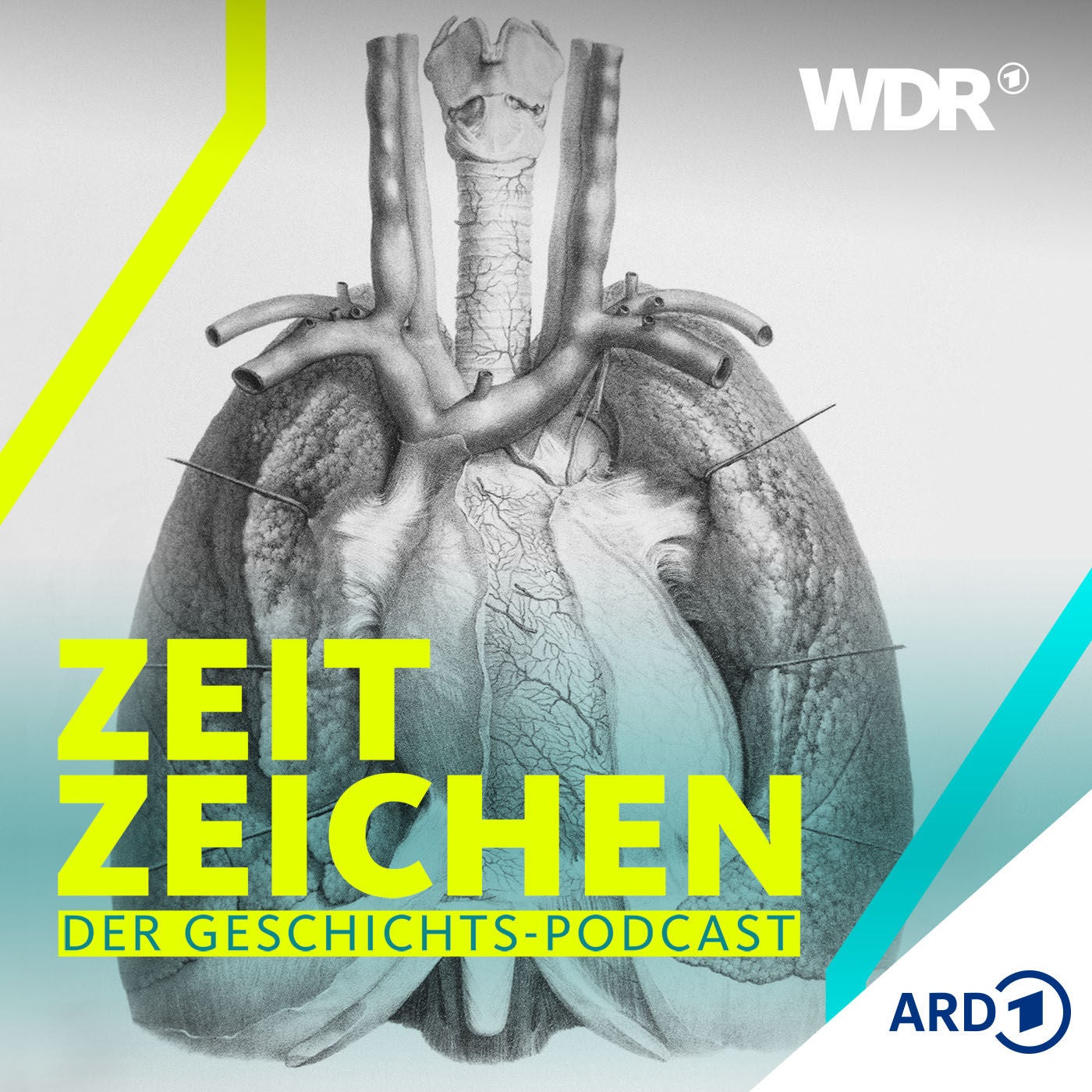 Meilenstein der modernen Gerichtsmedizin: die "Lungenschwimmprobe"