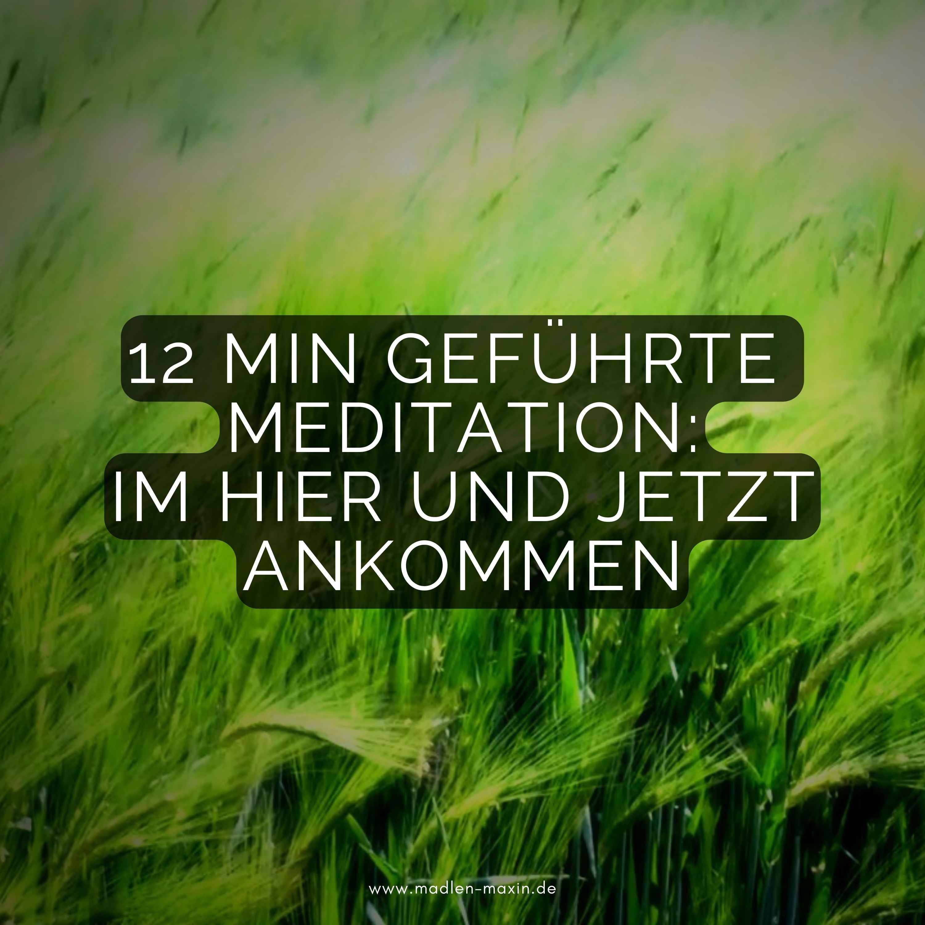12 Min geführte Meditation für Anfänger: Endlich im Hier und Jetzt ankommen