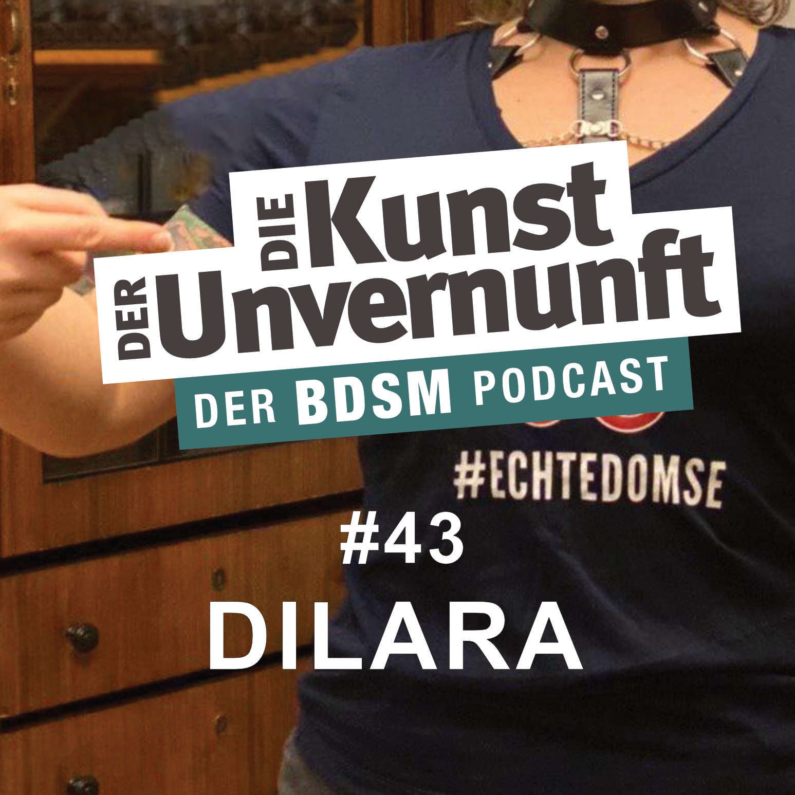 Dilara - Switch, Poly, Muslima
