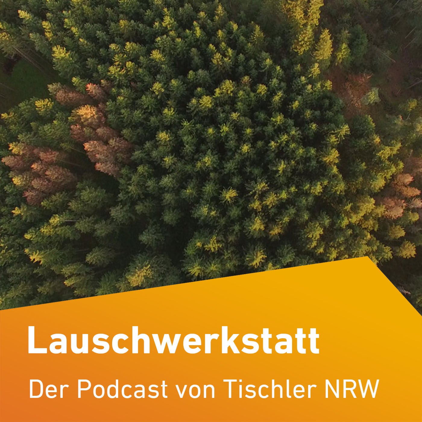 Folge 17 – Zustand und Zukunft des Waldes