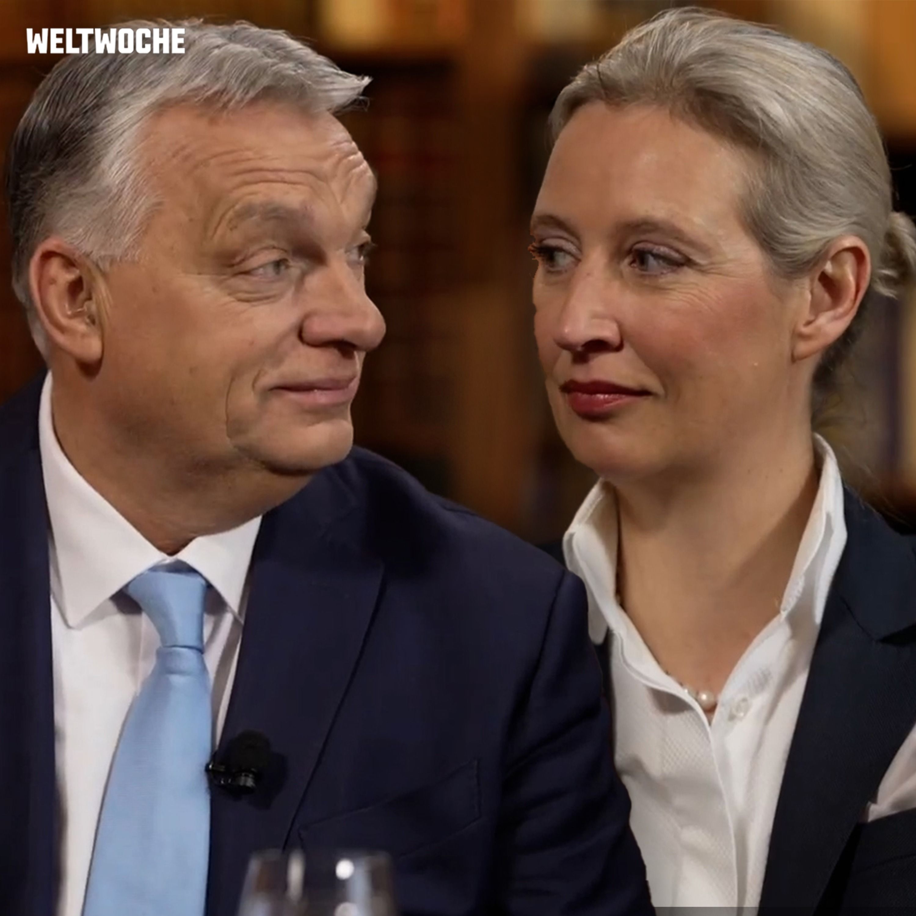 «Die AfD ist Deutschlands Zukunft»: Viktor Orbán und Alice Weidel im grossen Gespräch