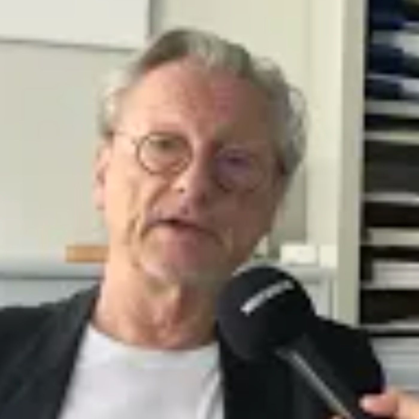Brandmauern müssen weg: Peter Brandt, Sohn von Willy Brandt, über Putin, Deutschland und die AfD
