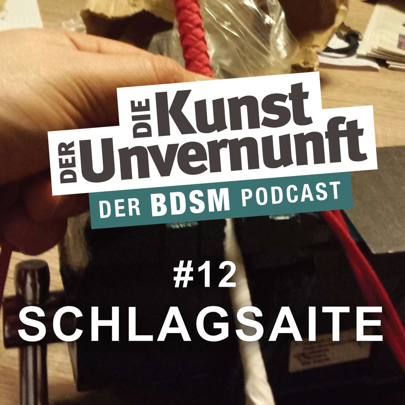 Schlagsaite - Bondage und offene Ehe