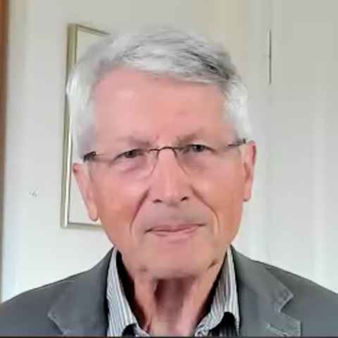 «Wie der Verfassungsschutz vorgeht, ist strafbar»: Prof. Dietrich Murswiek über das AfD-Gutachten und die Demokratie