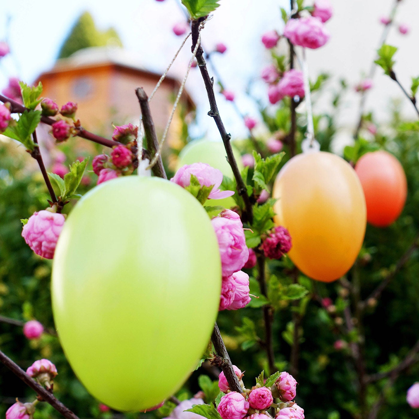 Der Frühling ruft - Wie bekommen wir neue Energie?