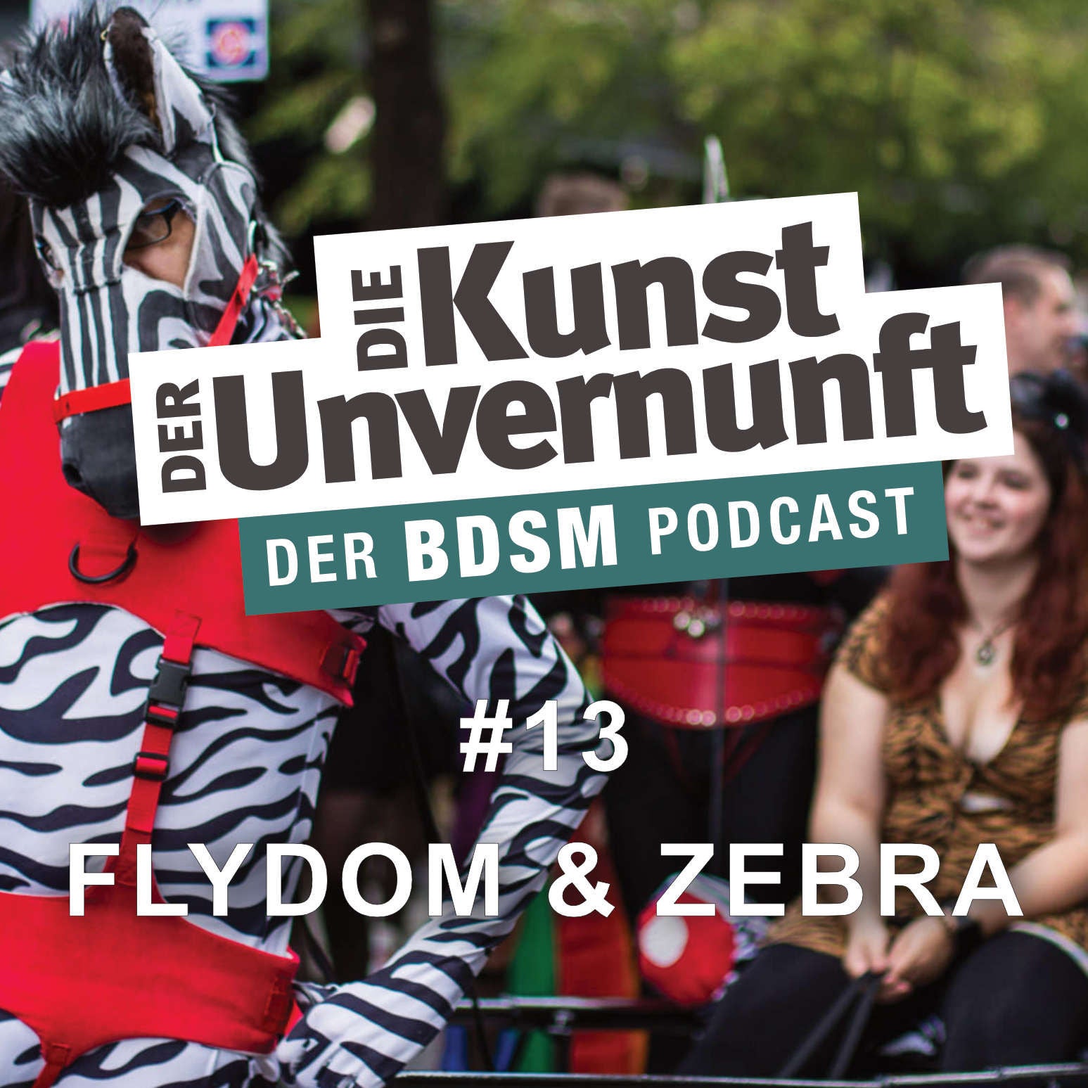 Flydom + Zebra - Petplay Petplay Petplay
