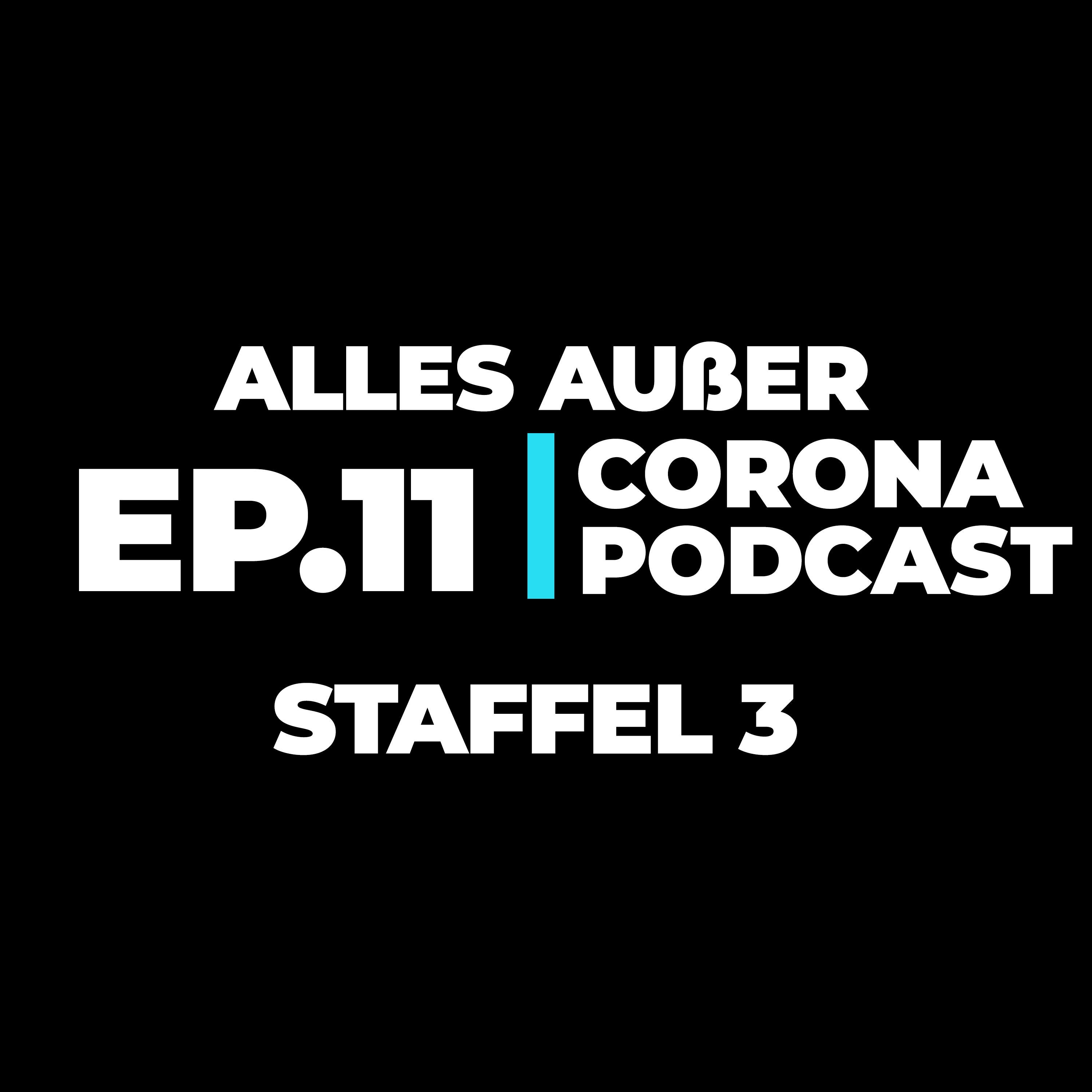 FOLGE X