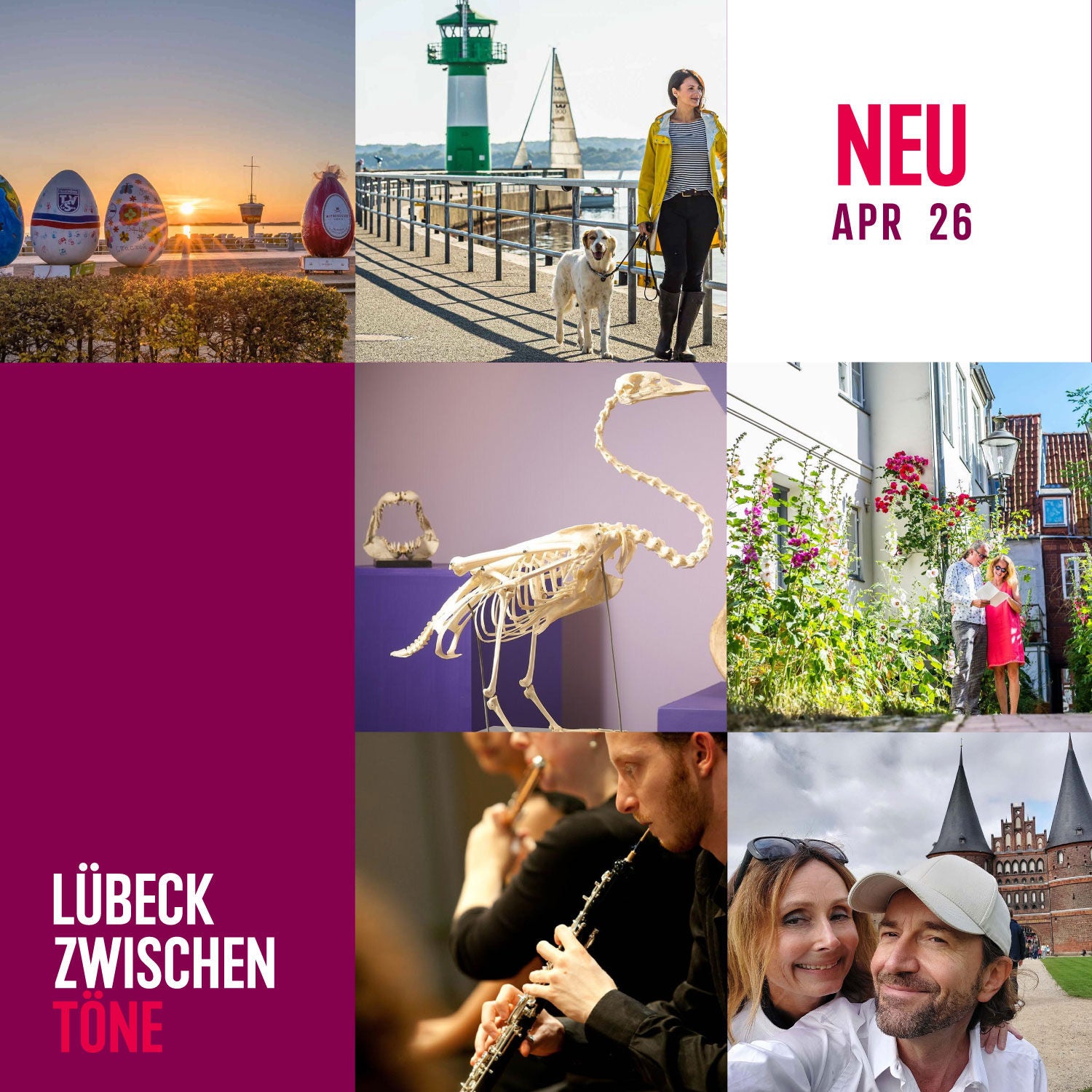 Rieseneier, Gratis-Konzerte, Bis auf die Knochen und eine Höfe-Tour im April durch Lübeck