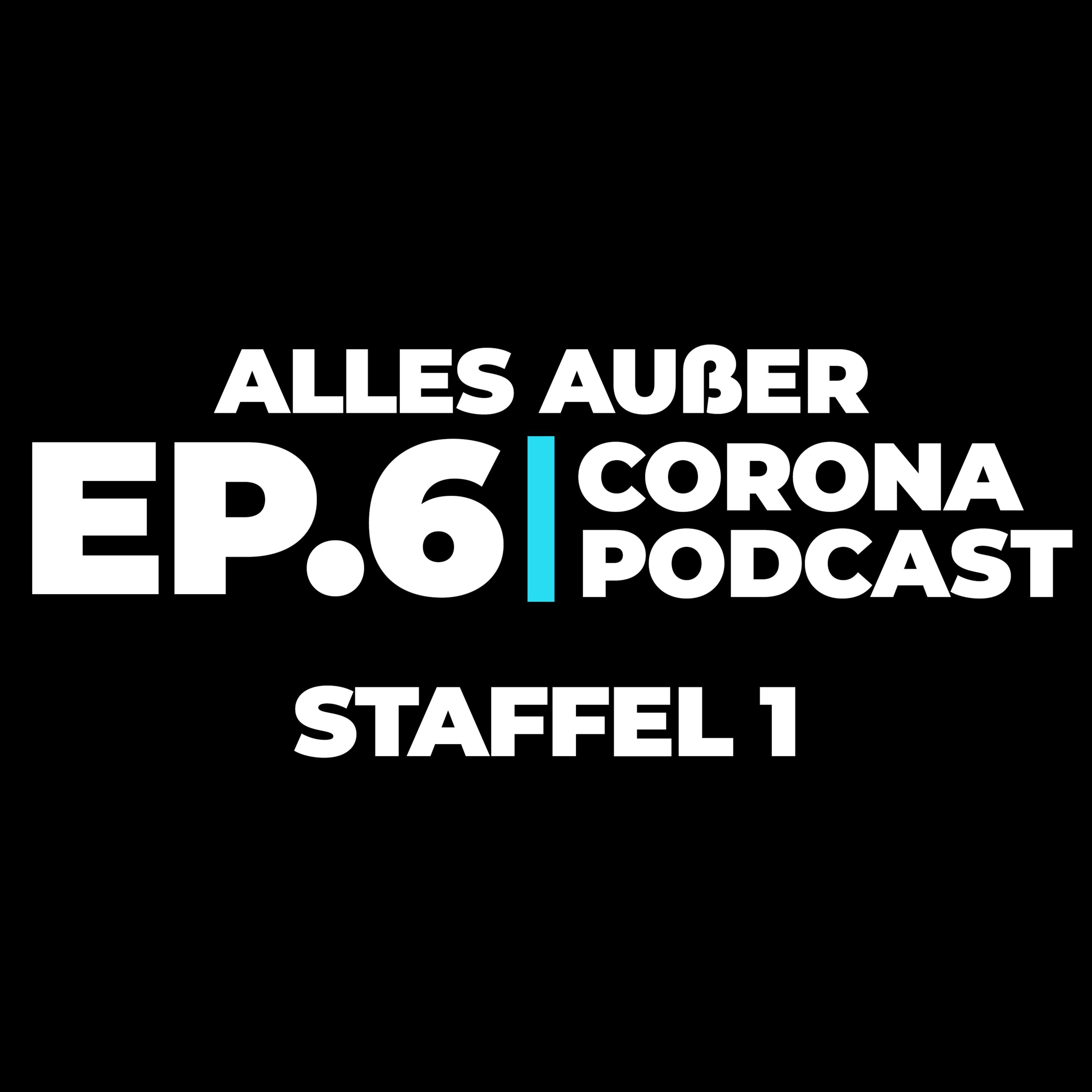 Ameisenbär geht viral