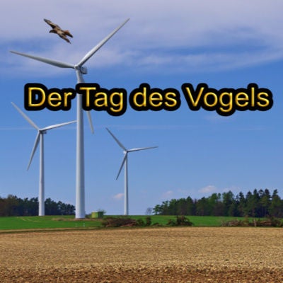 Der Tag des Vogels - Der Wortschuss zum Montag