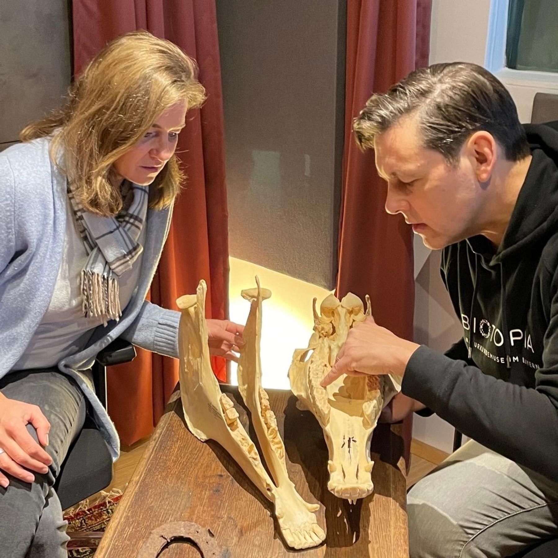 Alles Natur: Pferde! Iska Schreglmann im Gespräch mit dem Biologen Thassilo Franke
