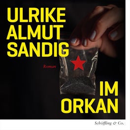 Im Orkan