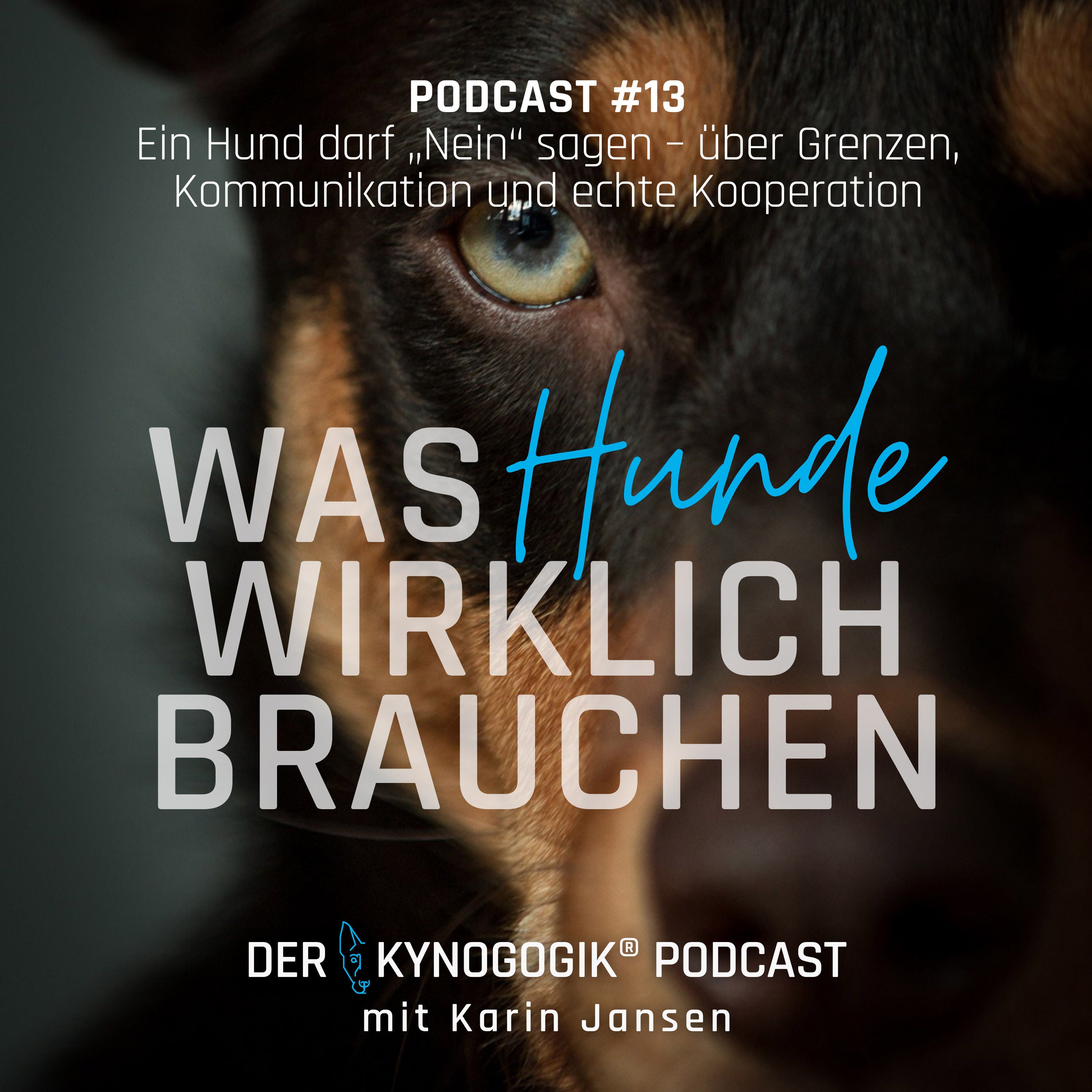 Ein Hund darf „Nein“ sagen