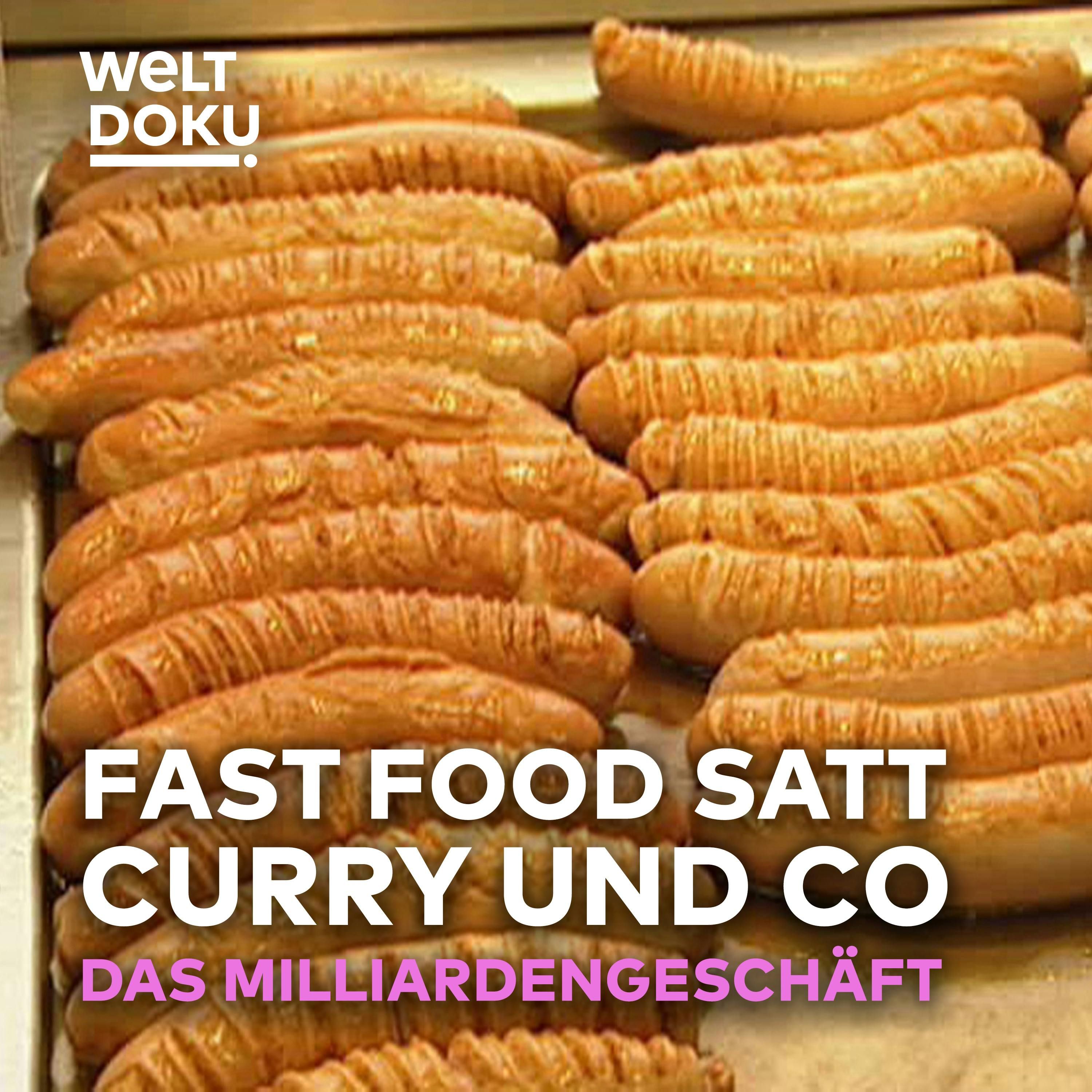 DÖNER & CURRYWURST: Das Fast-Food-Milliardenbusiness aufgedeckt!