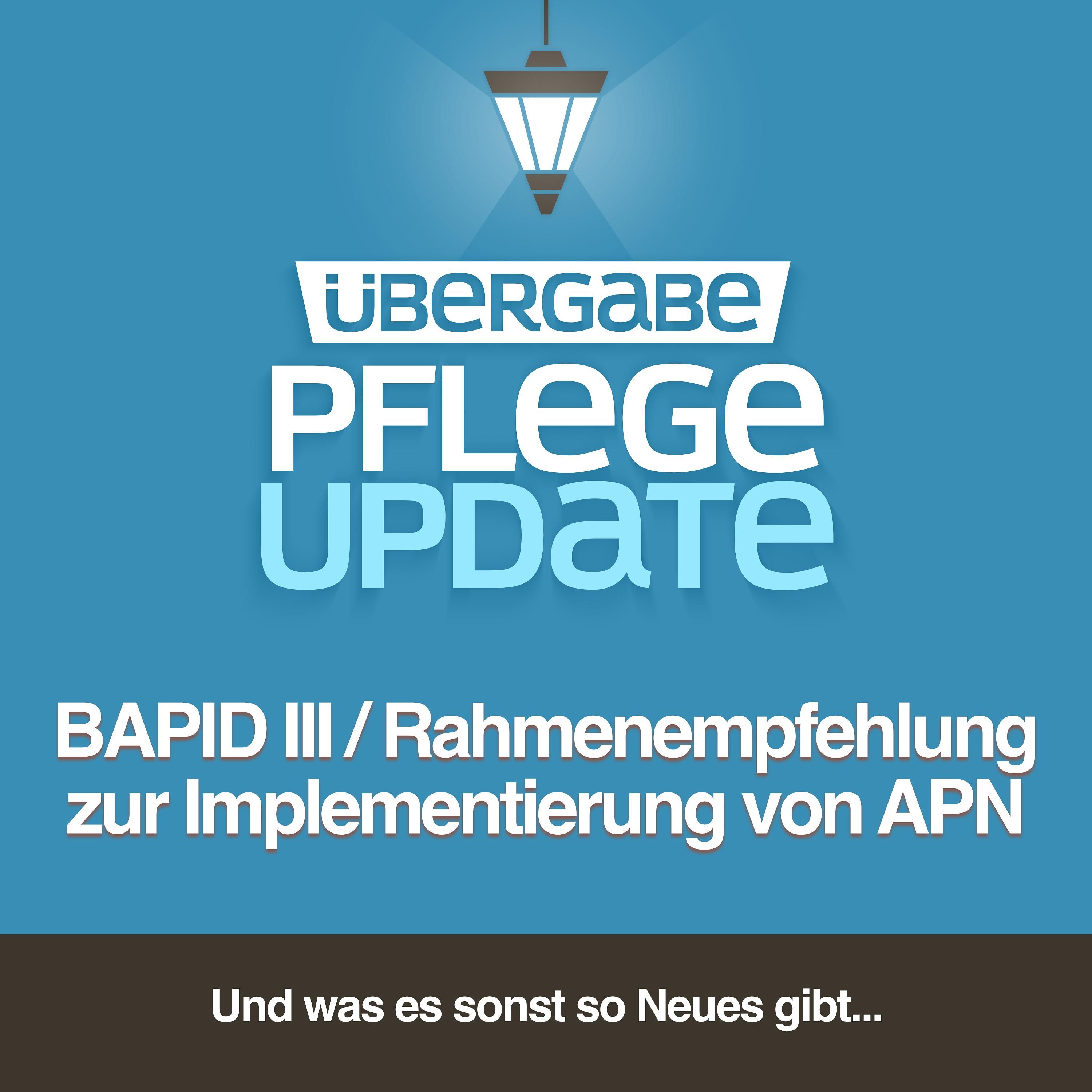 PU116 - BAPID III / Rahmenempfehlung zur Implementierung von APN