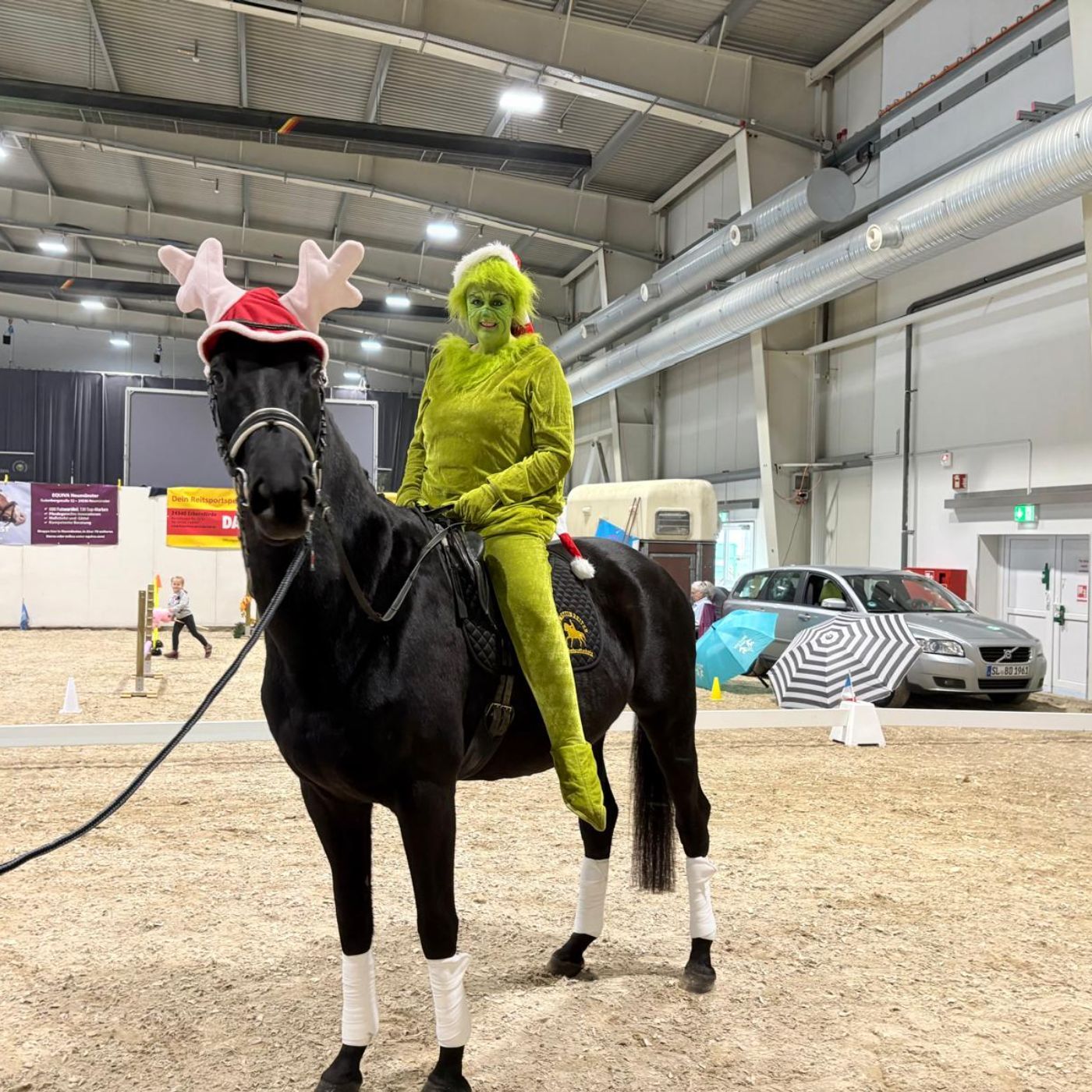 Für "Dakota" - die Pferdeklappe auf dem Trakehner Hengstmarkt
