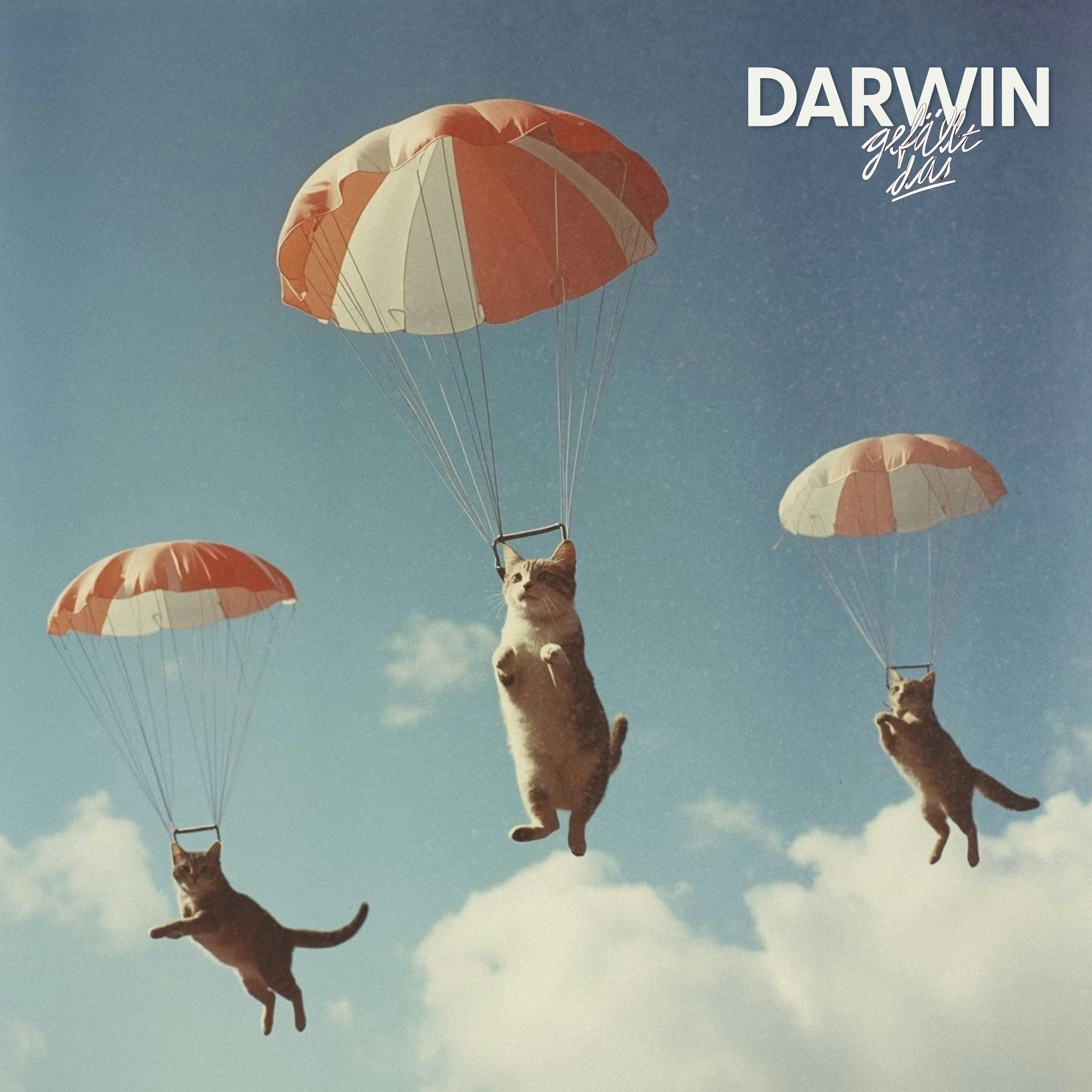 It’s raining Cats