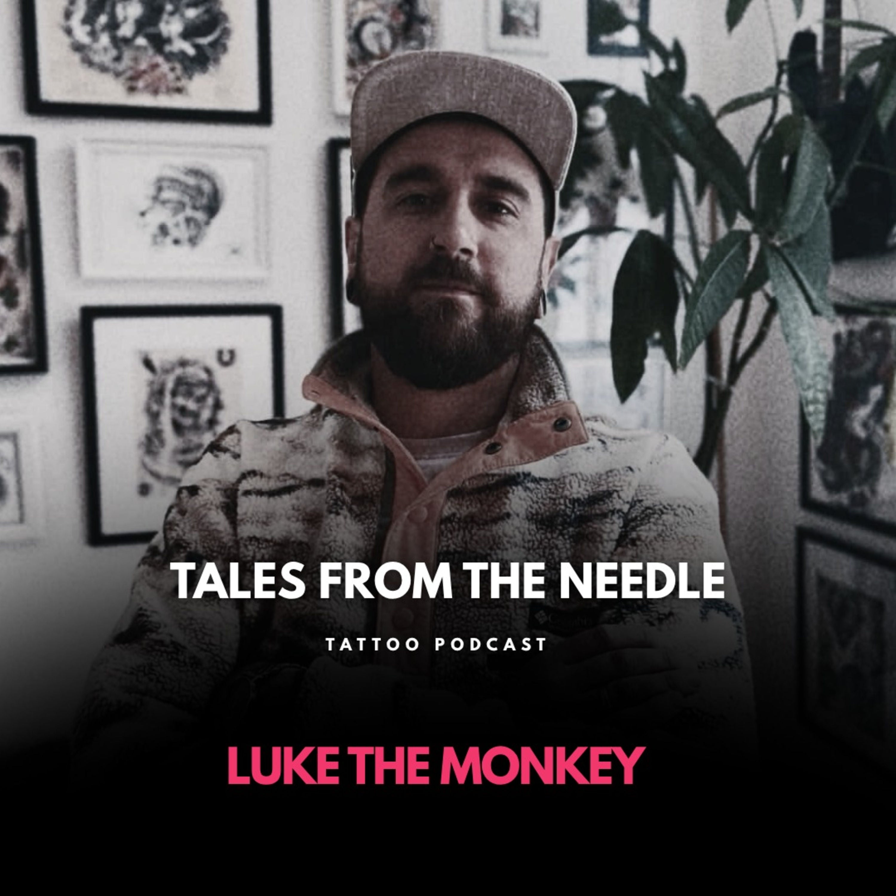 Luke The Monkey - Zurück für mehr!