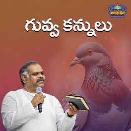 Guvva Kannulu