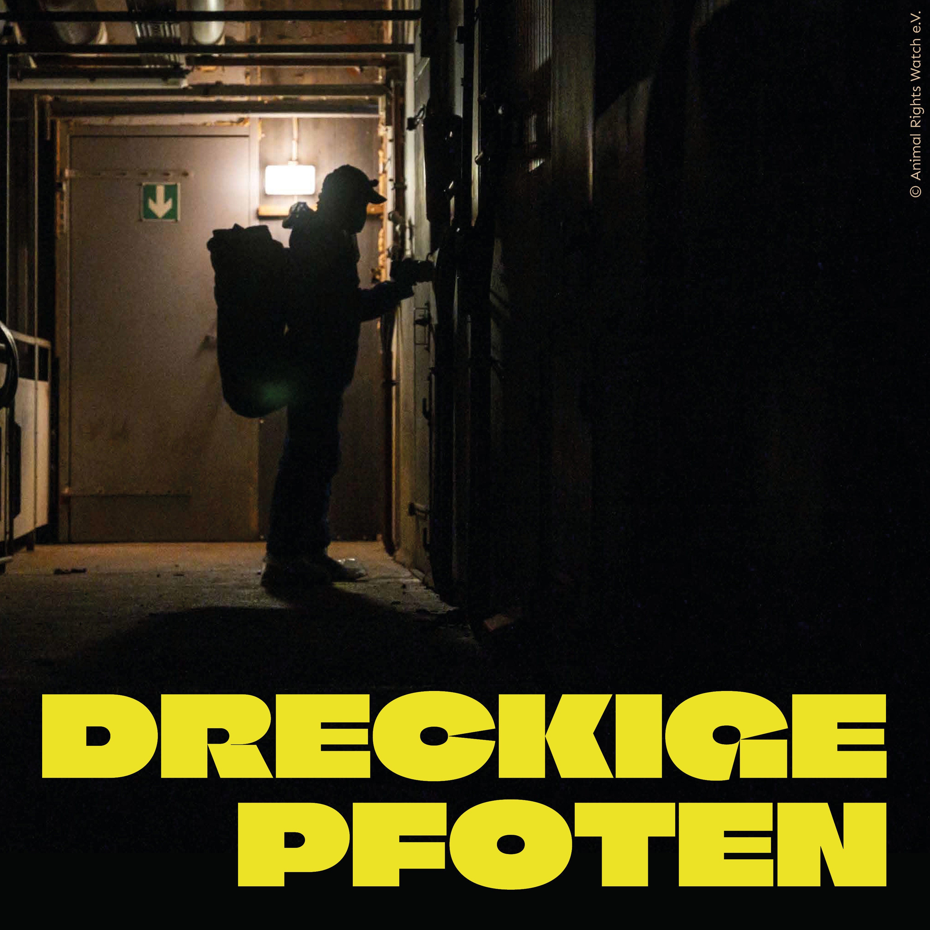dreckige Pfoten