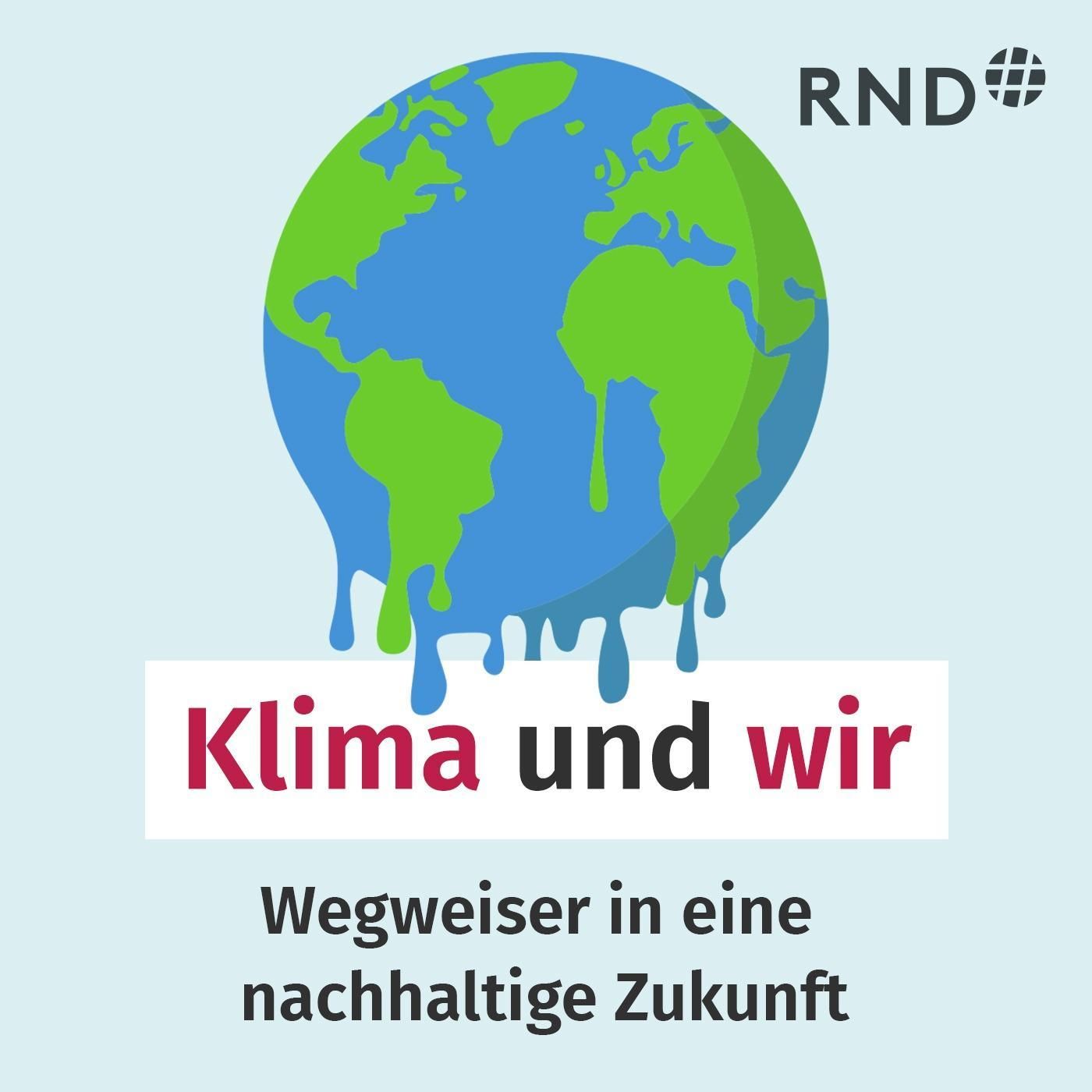 Klimafreundlich einkaufen: So einfach geht’s (oder auch nicht)