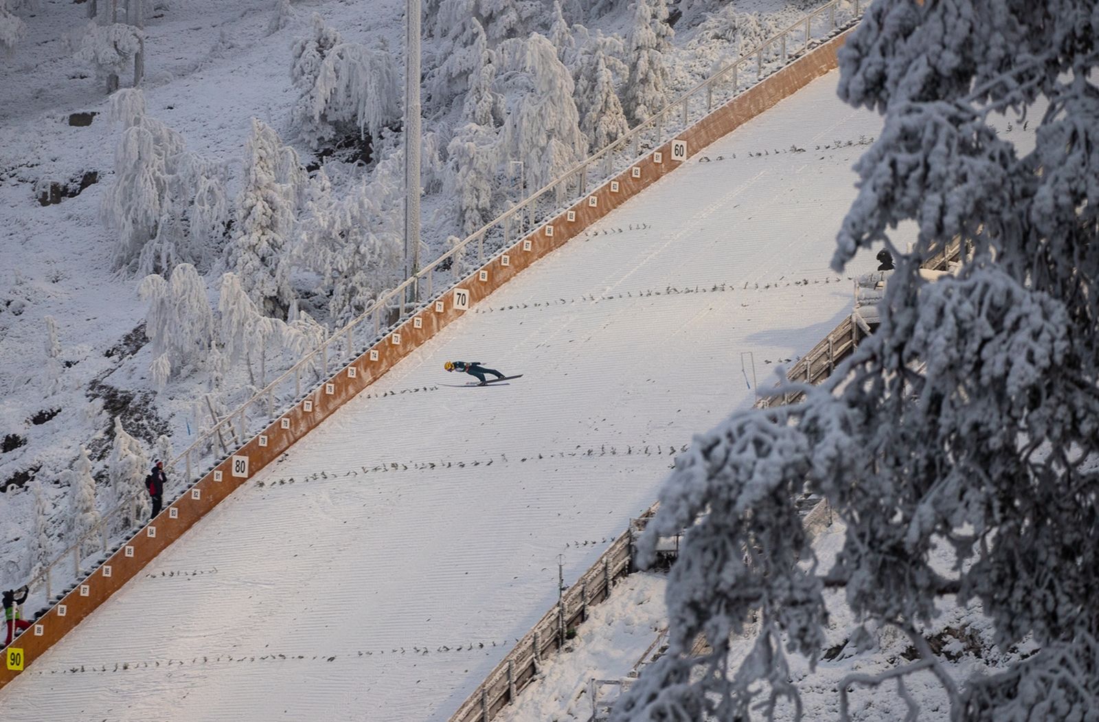 Ruka: Early Bird in Winter Wonderland