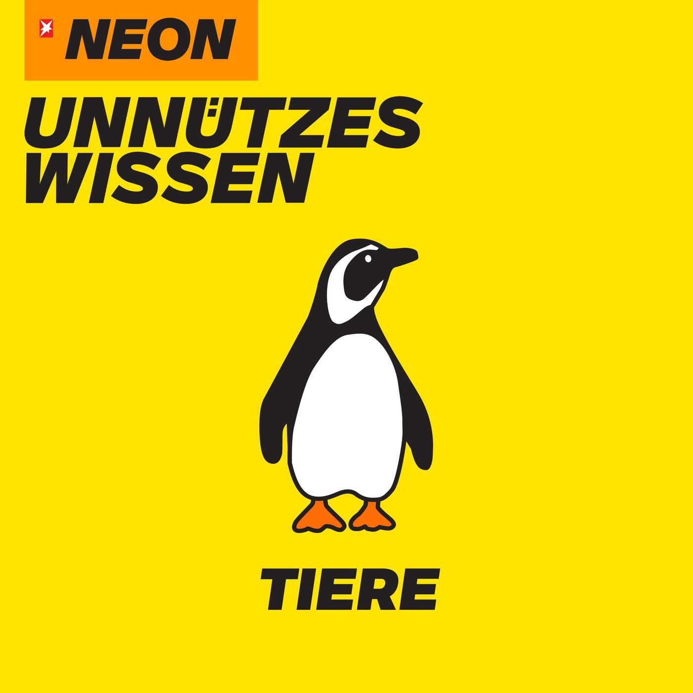 Tiere
