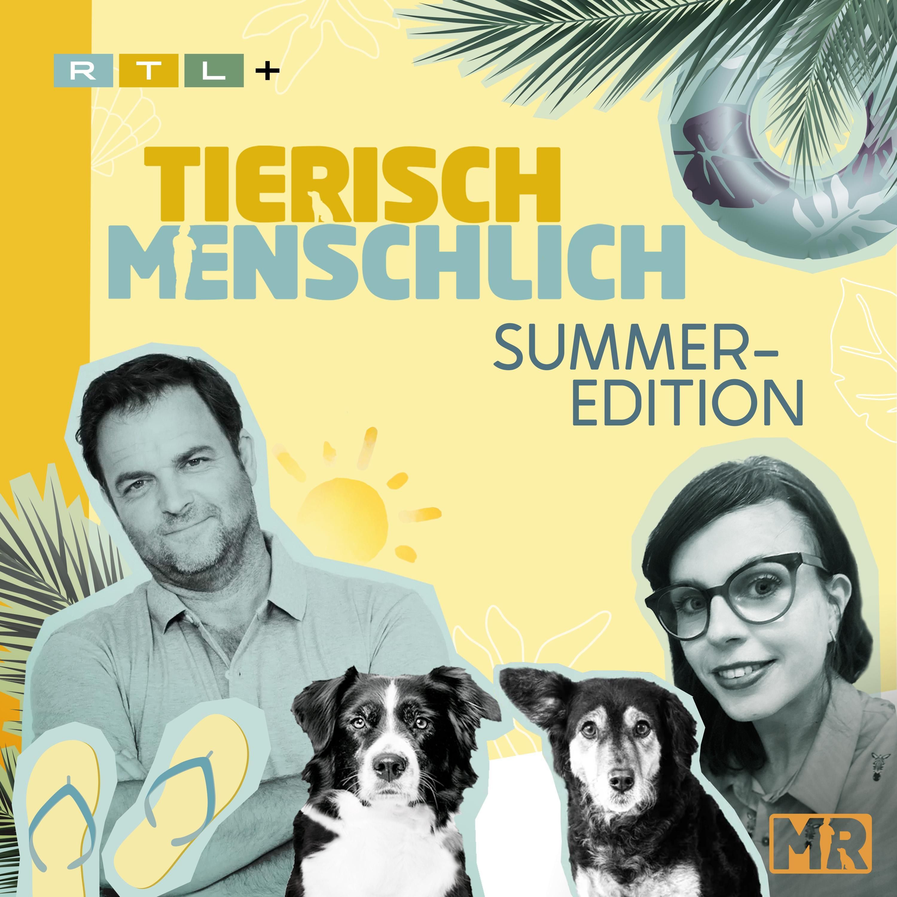 #4 Summer Edition: Otterjagd & Dackelkatzen