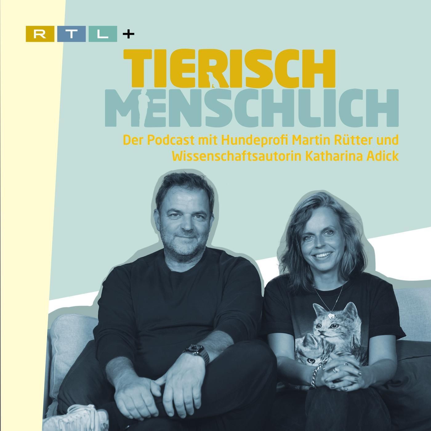 129 - Einfach mal sitzen