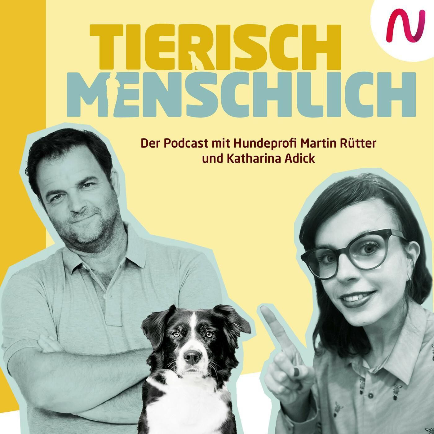 63 - Hundepension, Katzenfänger & Let´s Dance