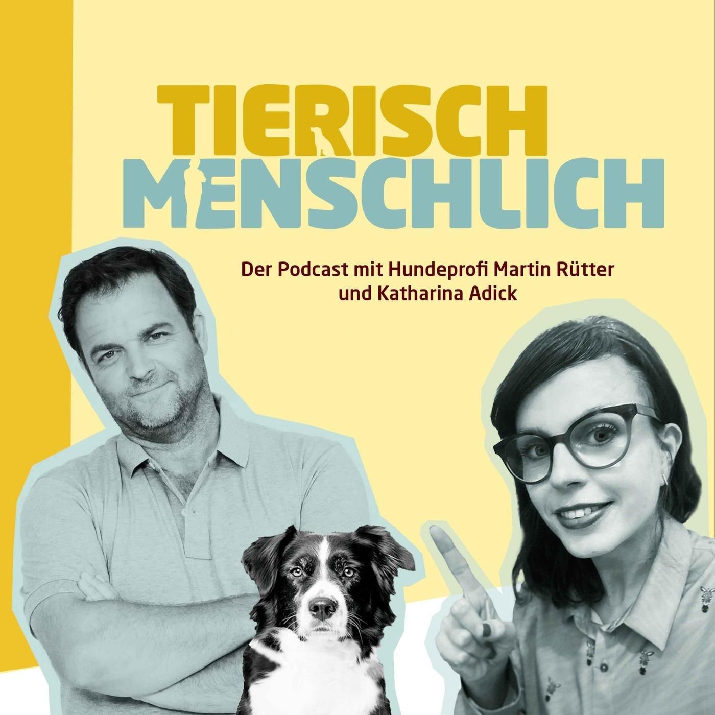 90 - Vertretungsstunde