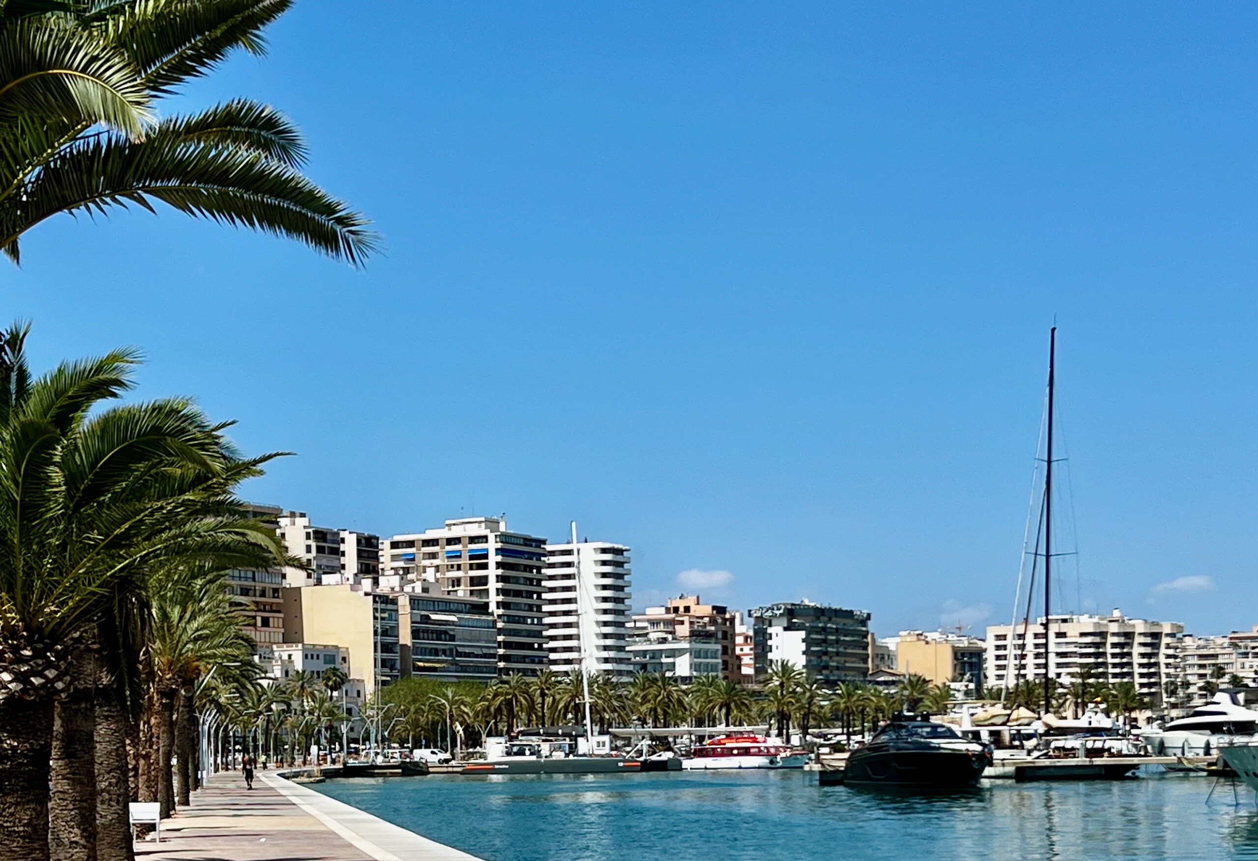 5 Minuten Mallorca | Nachrichten am 8. April 2026