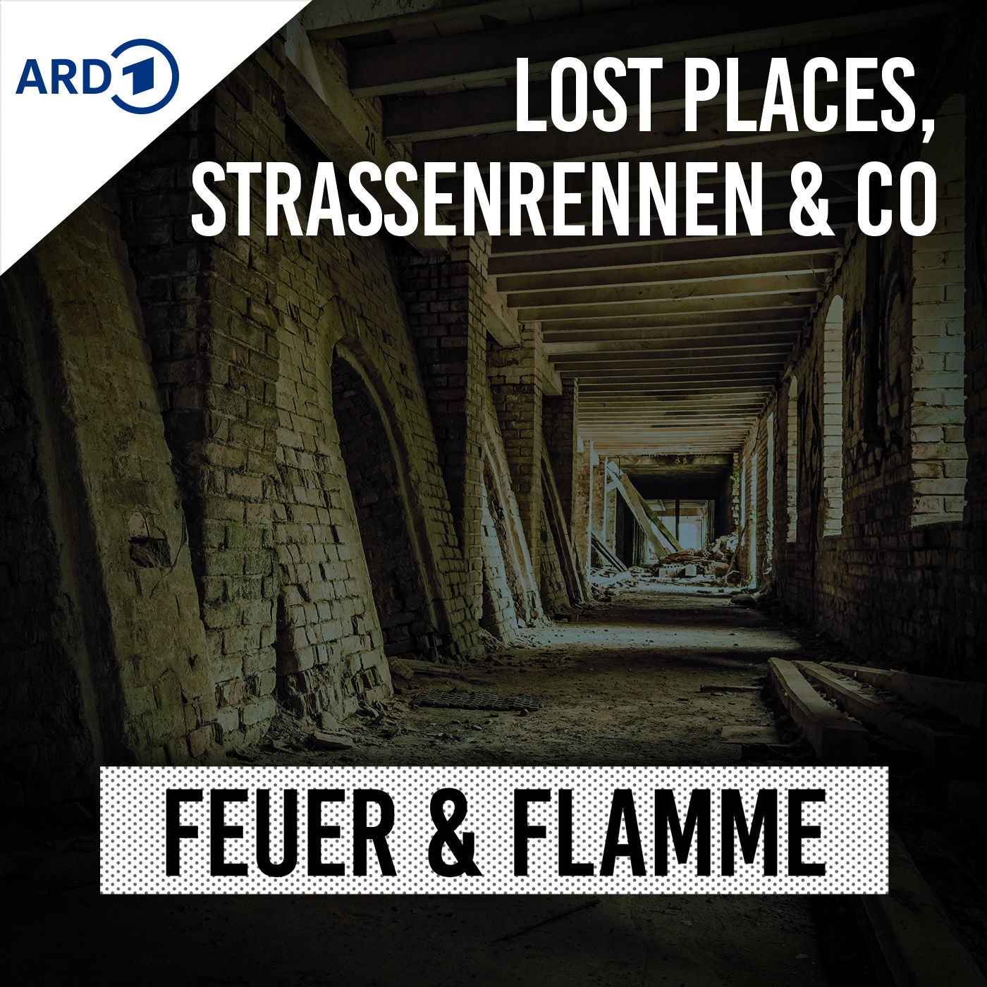 Lost Places, Autorennen & Co: Wenn Leichtsinn tötet