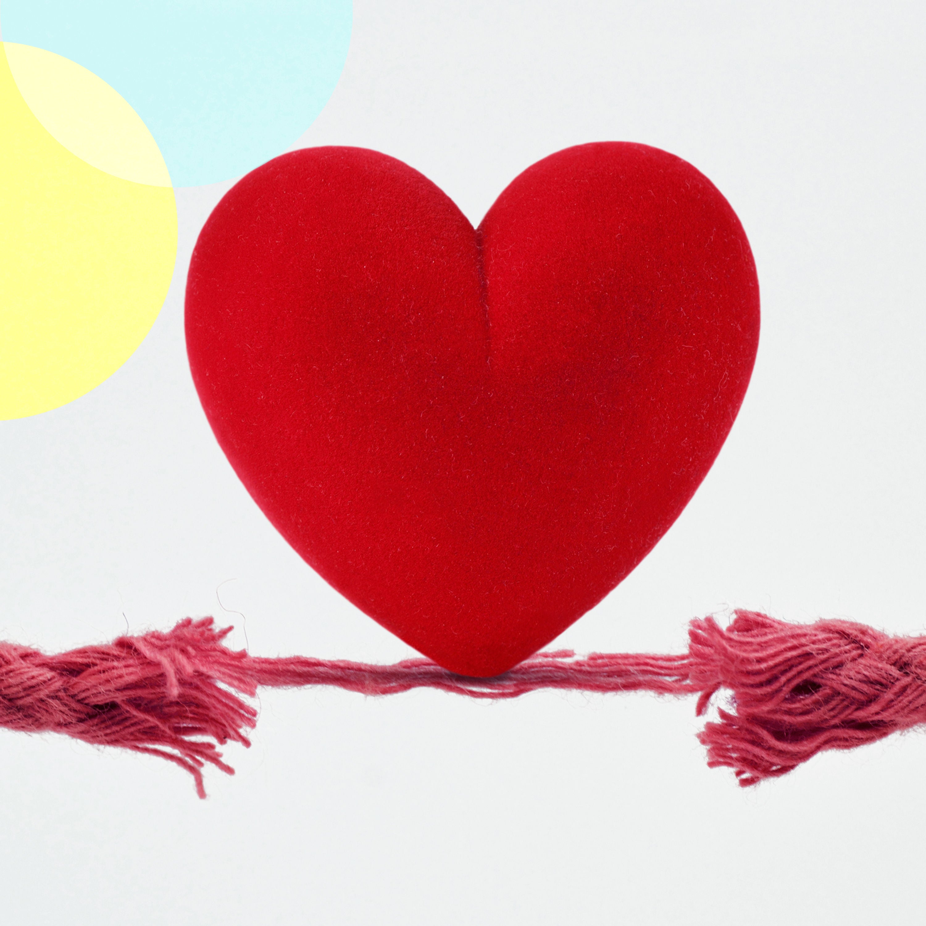 Die Macht der Liebe – Wie politisch sind unsere Beziehungen?
