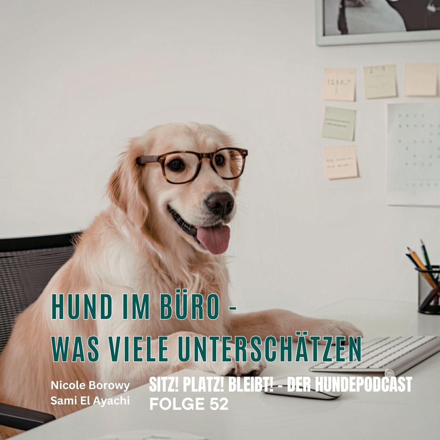 #52 Hund im Büro - was viele unterschätzen