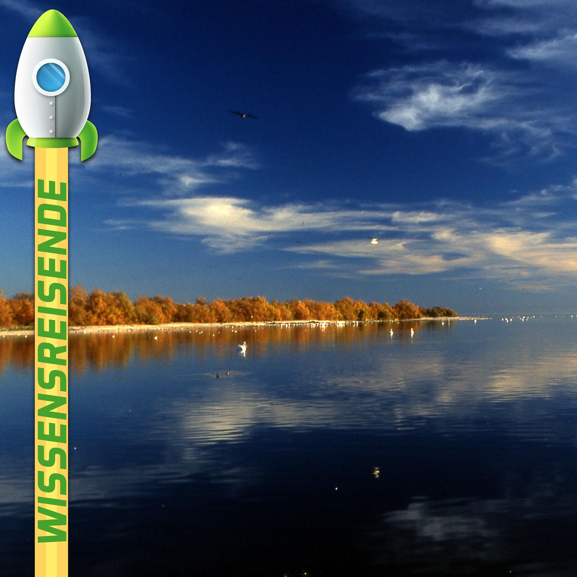 WR033 - Die große Salton Katastrophe