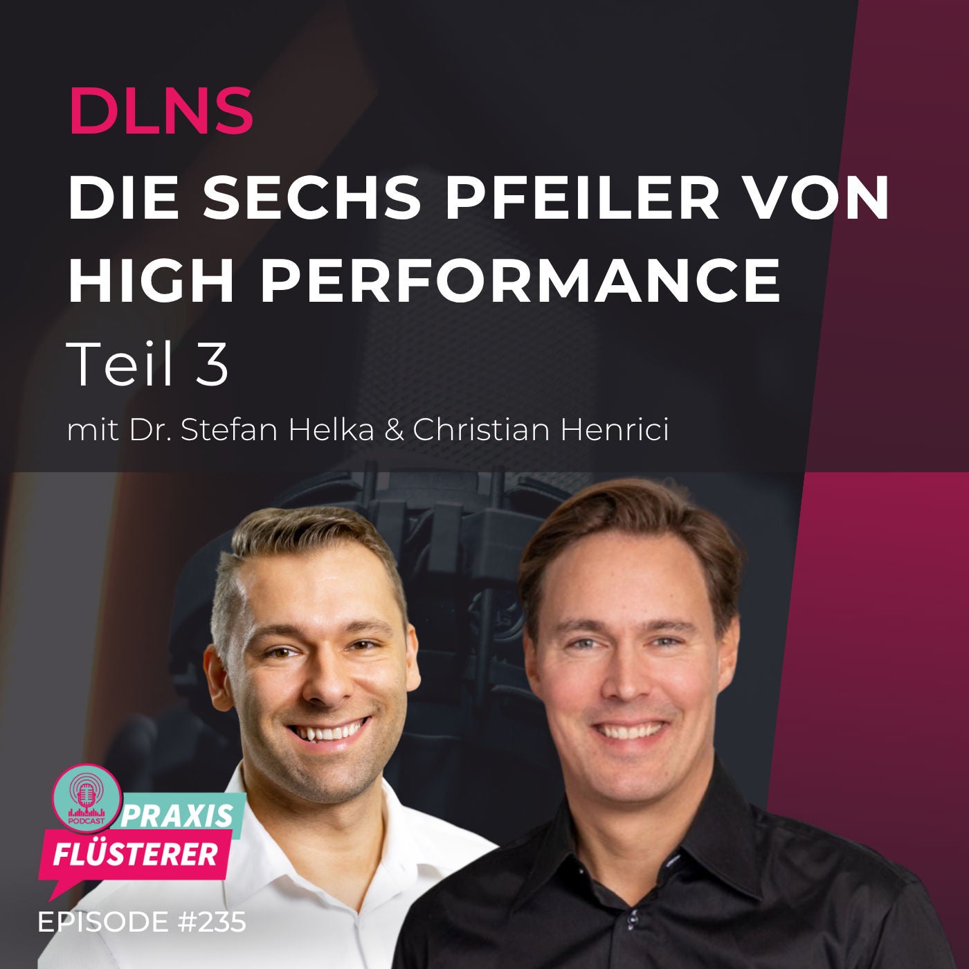 #235: DLNS | Die sechs Pfeiler von High Performance | Teil 3