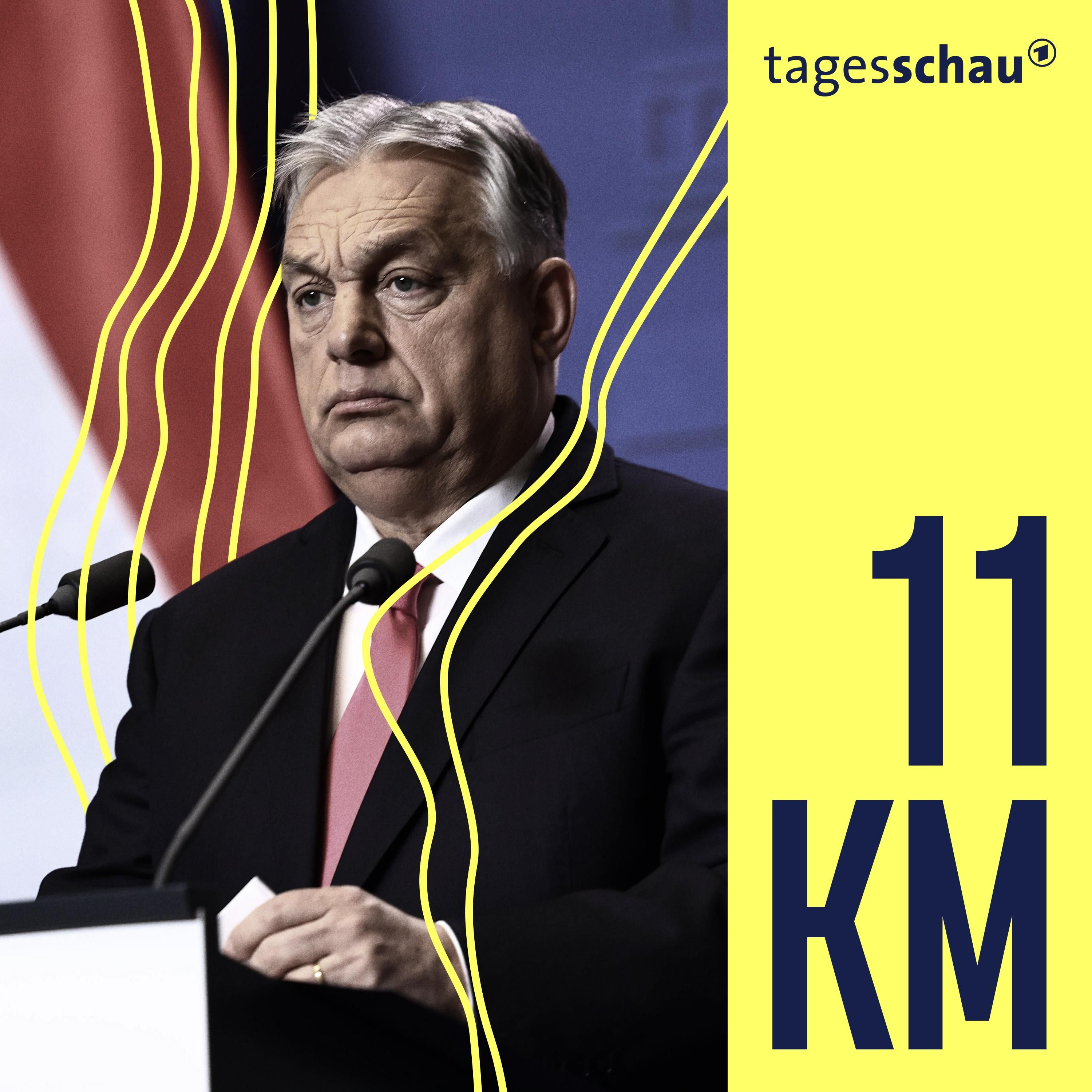 Wahl in Ungarn - Zurück zur Demokratie?